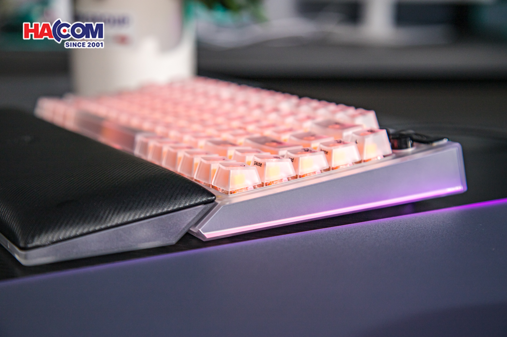 Bàn phím Razer BlackWidow V4 75% - Phantom White Edition 15