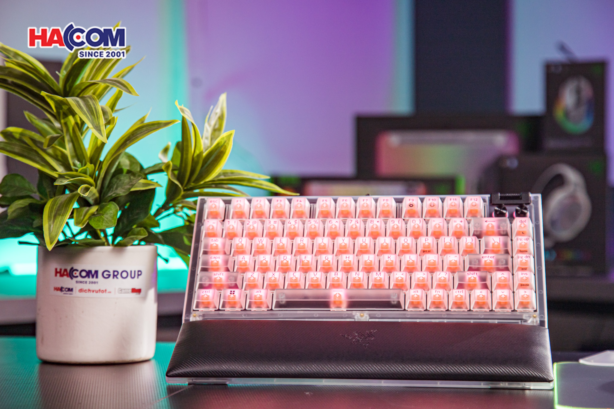 Bàn phím Razer BlackWidow V4 75% - Phantom White Edition 7