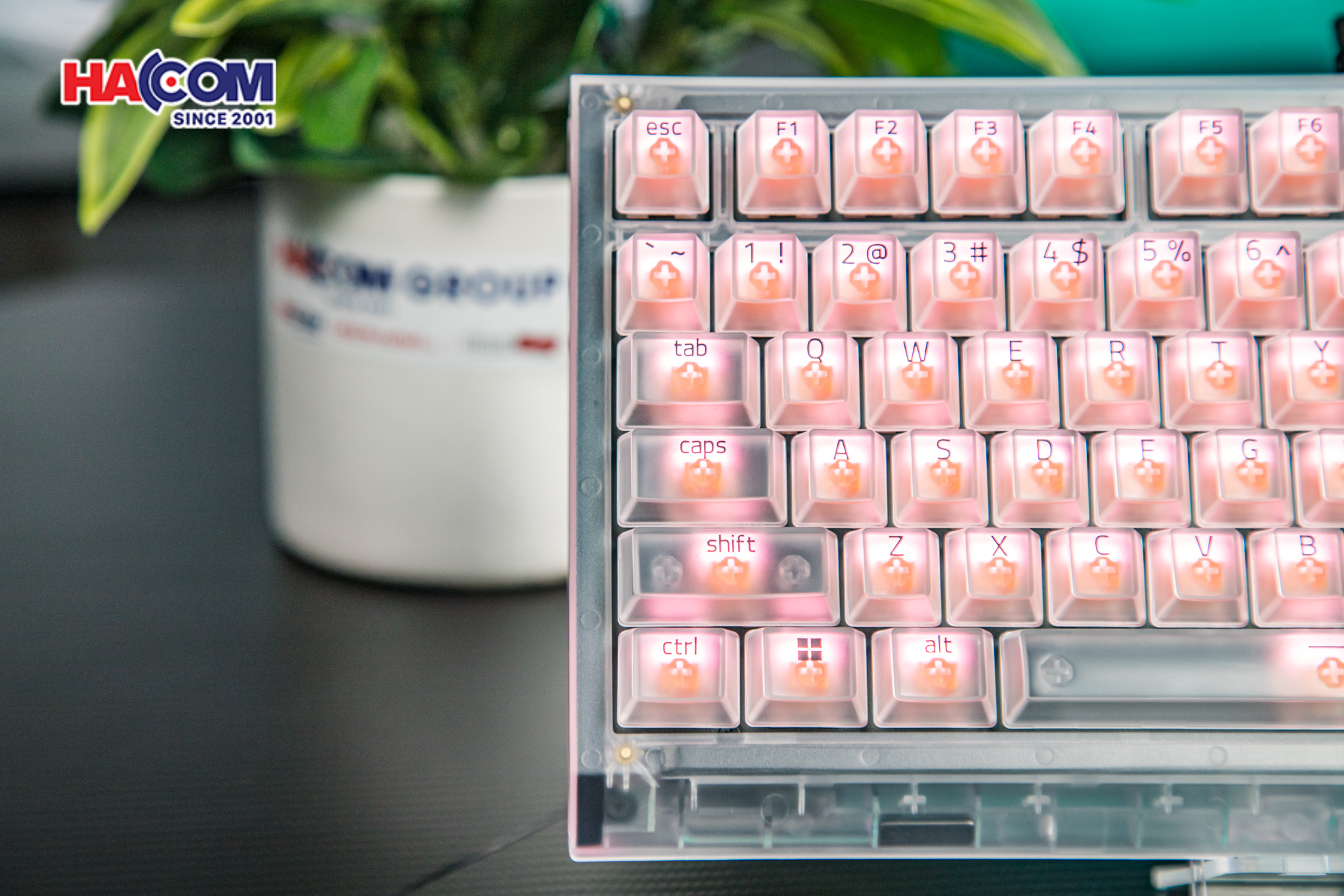 Bàn phím Razer BlackWidow V4 75% - Phantom White Edition 10