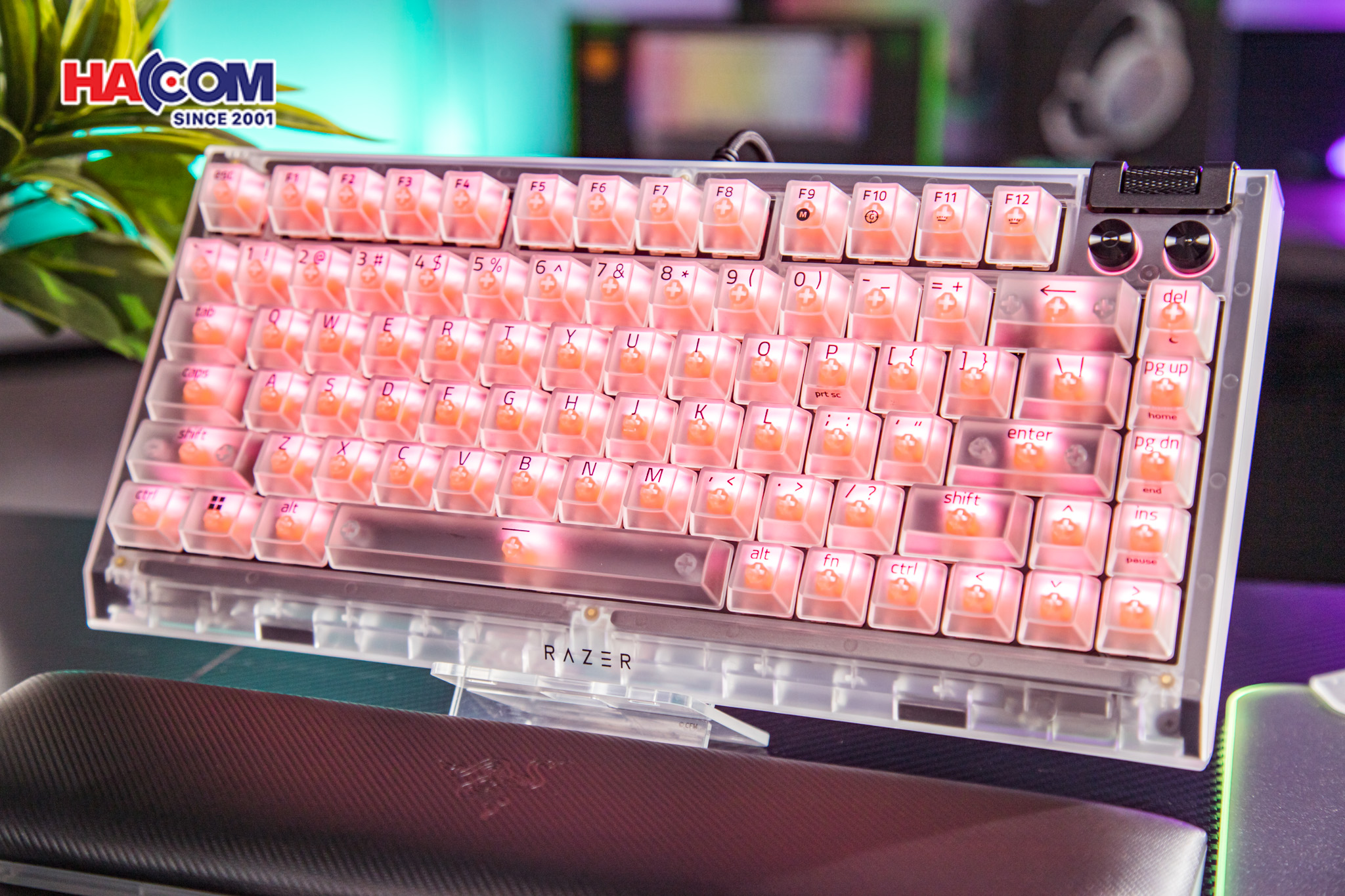 Bàn phím Razer BlackWidow V4 75% - Phantom White Edition 11