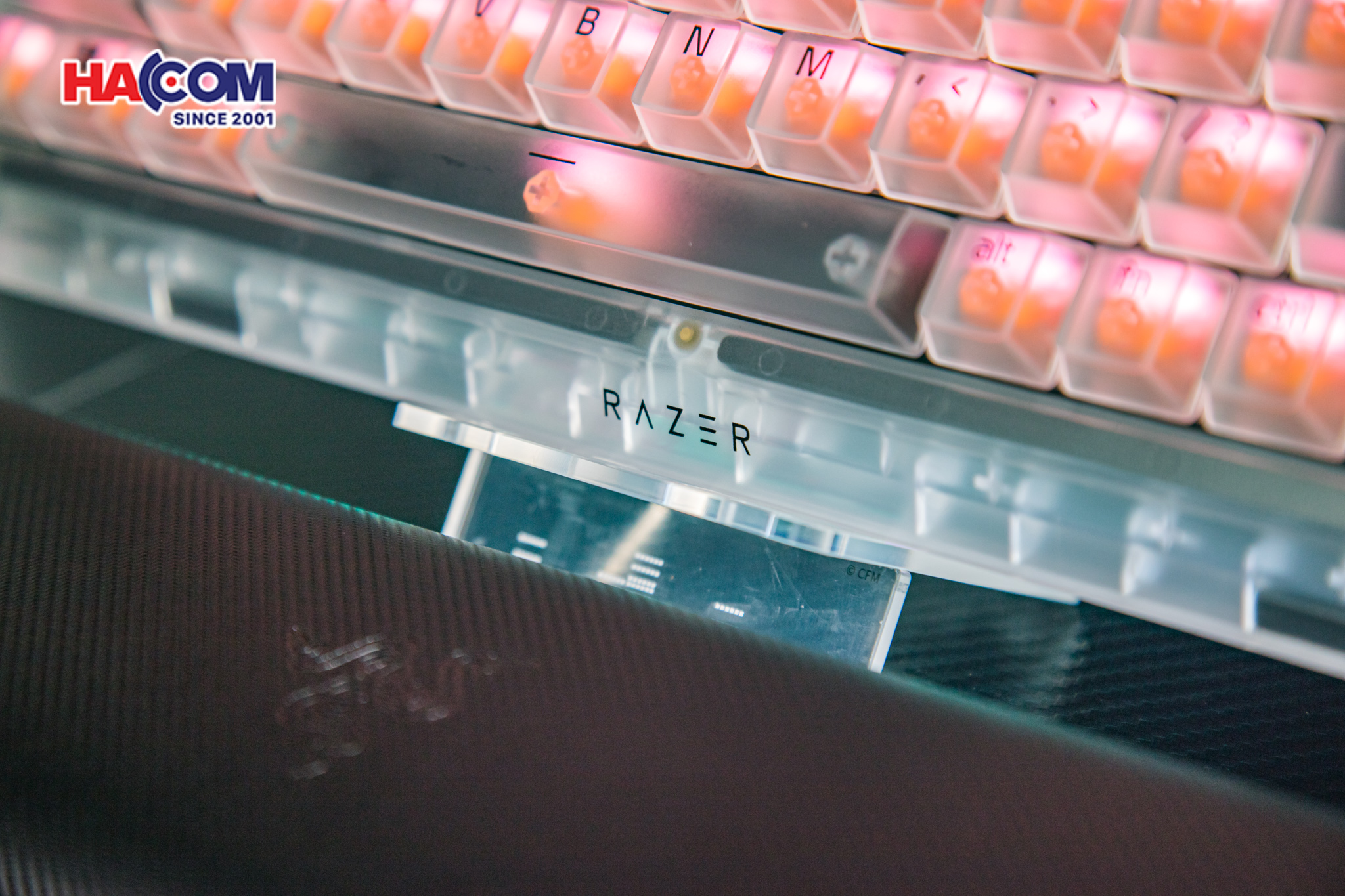 Bàn phím Razer BlackWidow V4 75% - Phantom White Edition 12