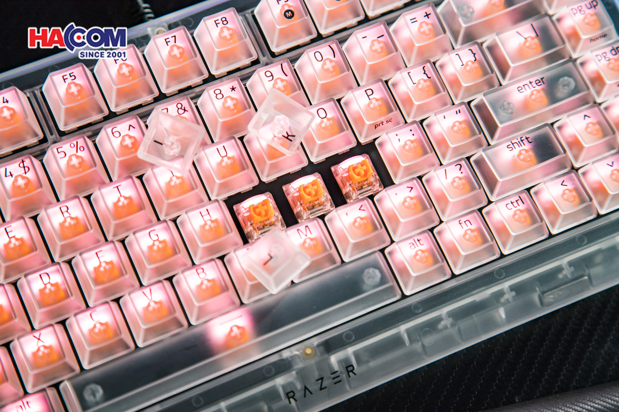 Bàn phím Razer BlackWidow V4 75% - Phantom White Edition 16