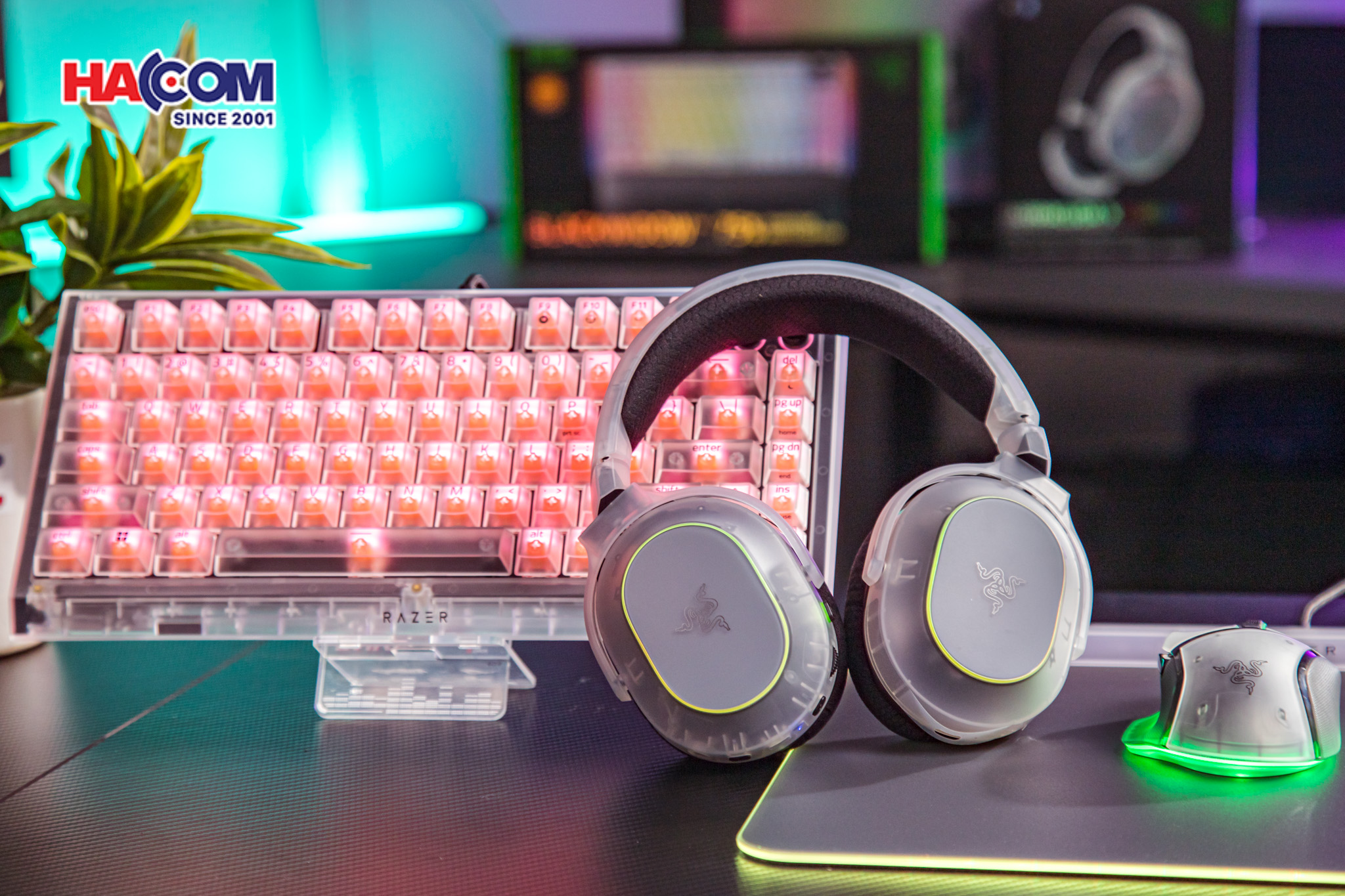 Tai nghe Razer Barracuda X Chroma - Phantom White Edition 7