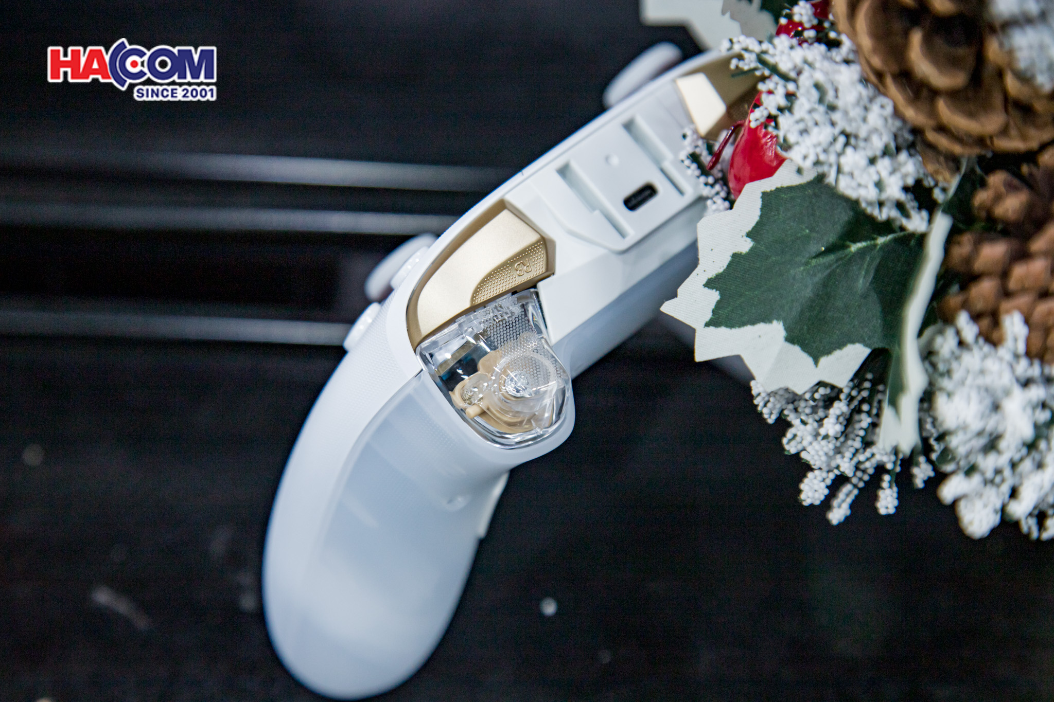 Tay Cầm Chơi Game Không Dây GameSir Cyclone 2 Màu Trắng 12