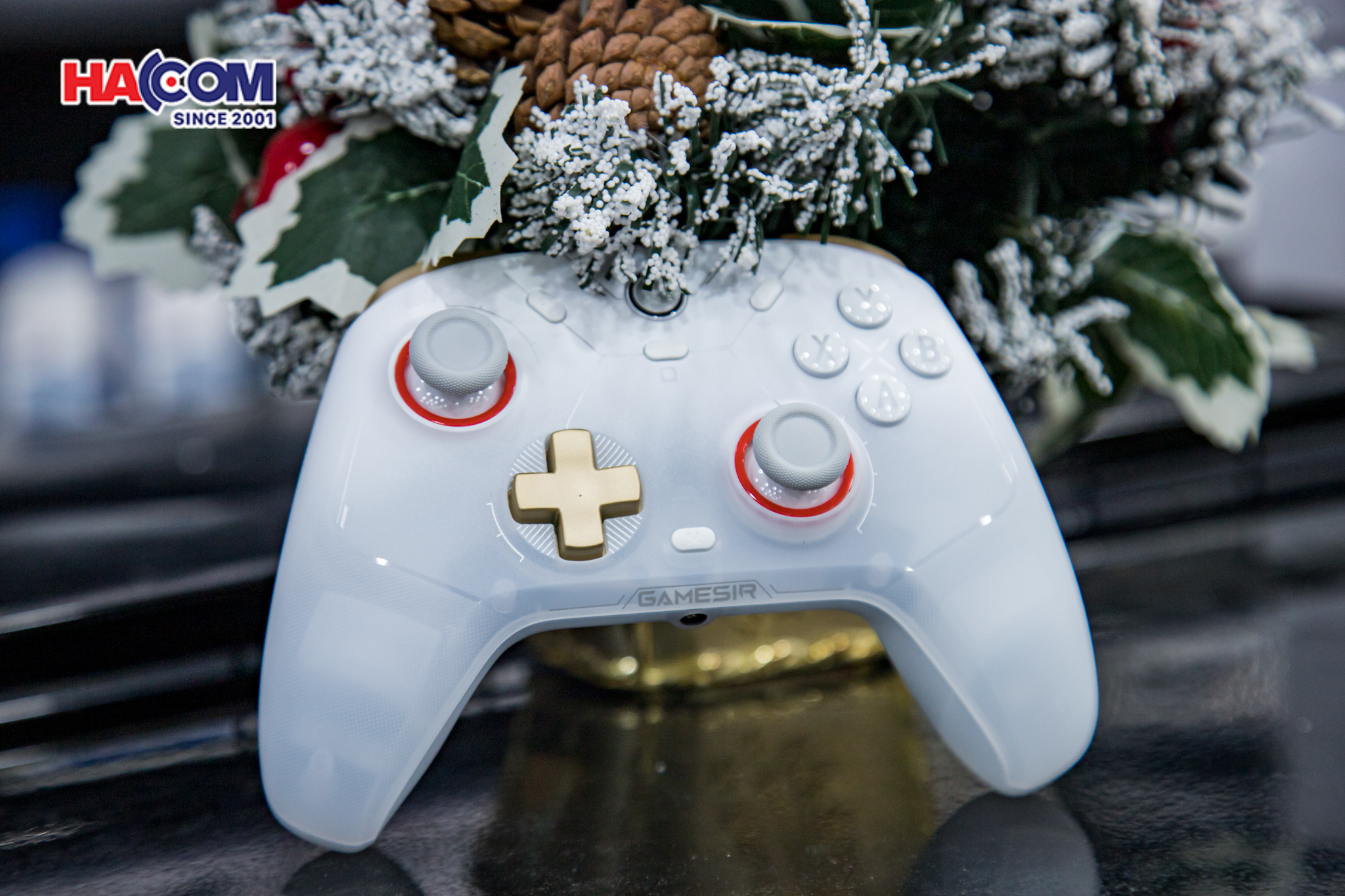Tay Cầm Chơi Game Không Dây GameSir Cyclone 2 Màu Trắng 6