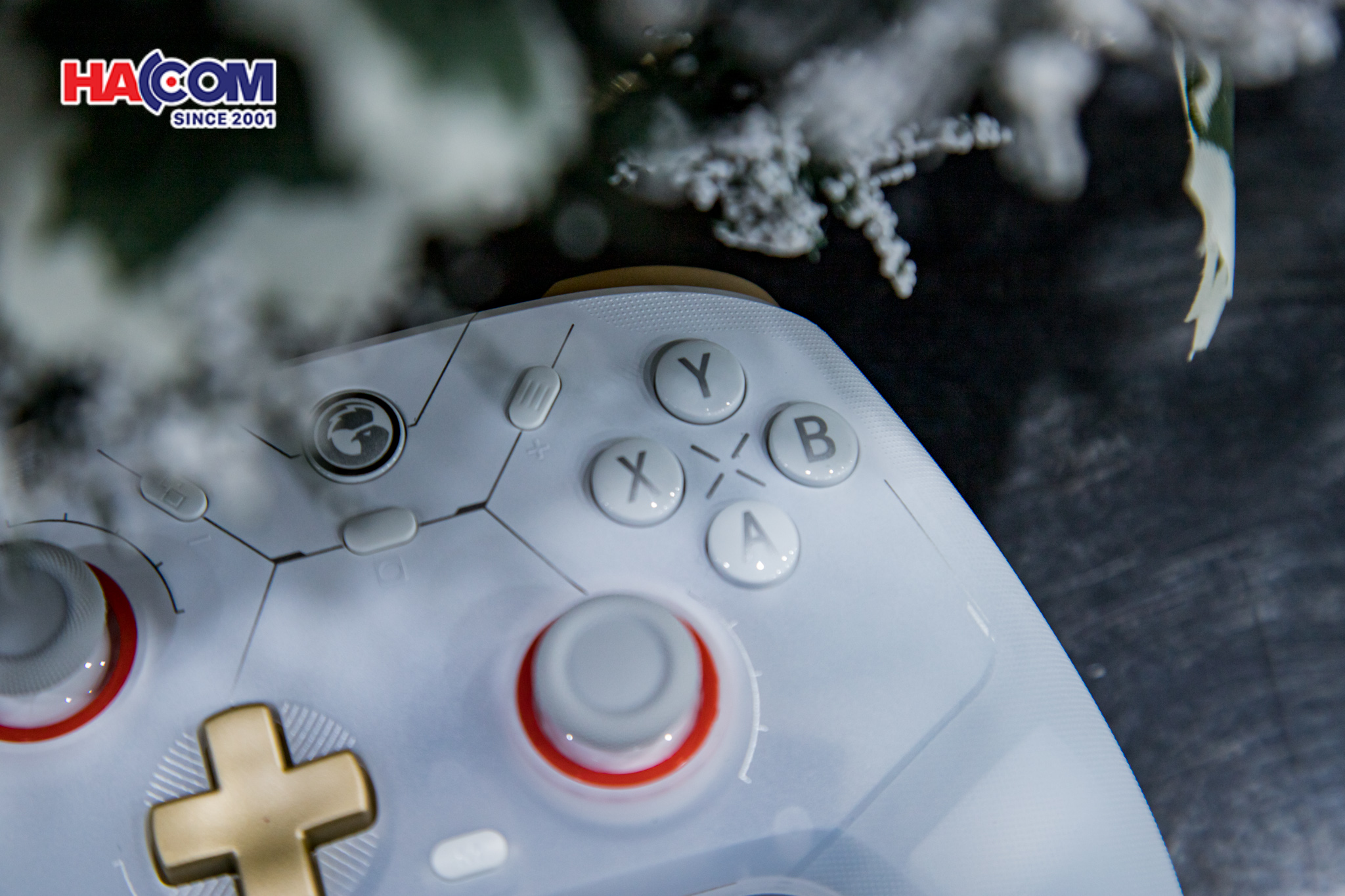 Tay Cầm Chơi Game Không Dây GameSir Cyclone 2 Màu Trắng3122025/tay-cam-choi-game-khong-day-gamesir-cyclone-2-white-005.jpg 7