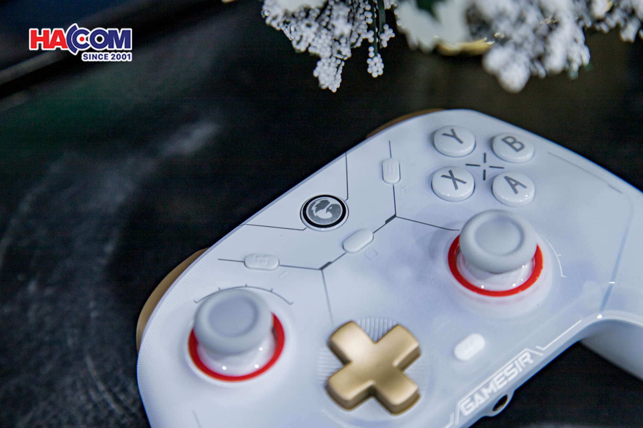 Tay Cầm Chơi Game Không Dây GameSir Cyclone 2 Màu Trắng 10