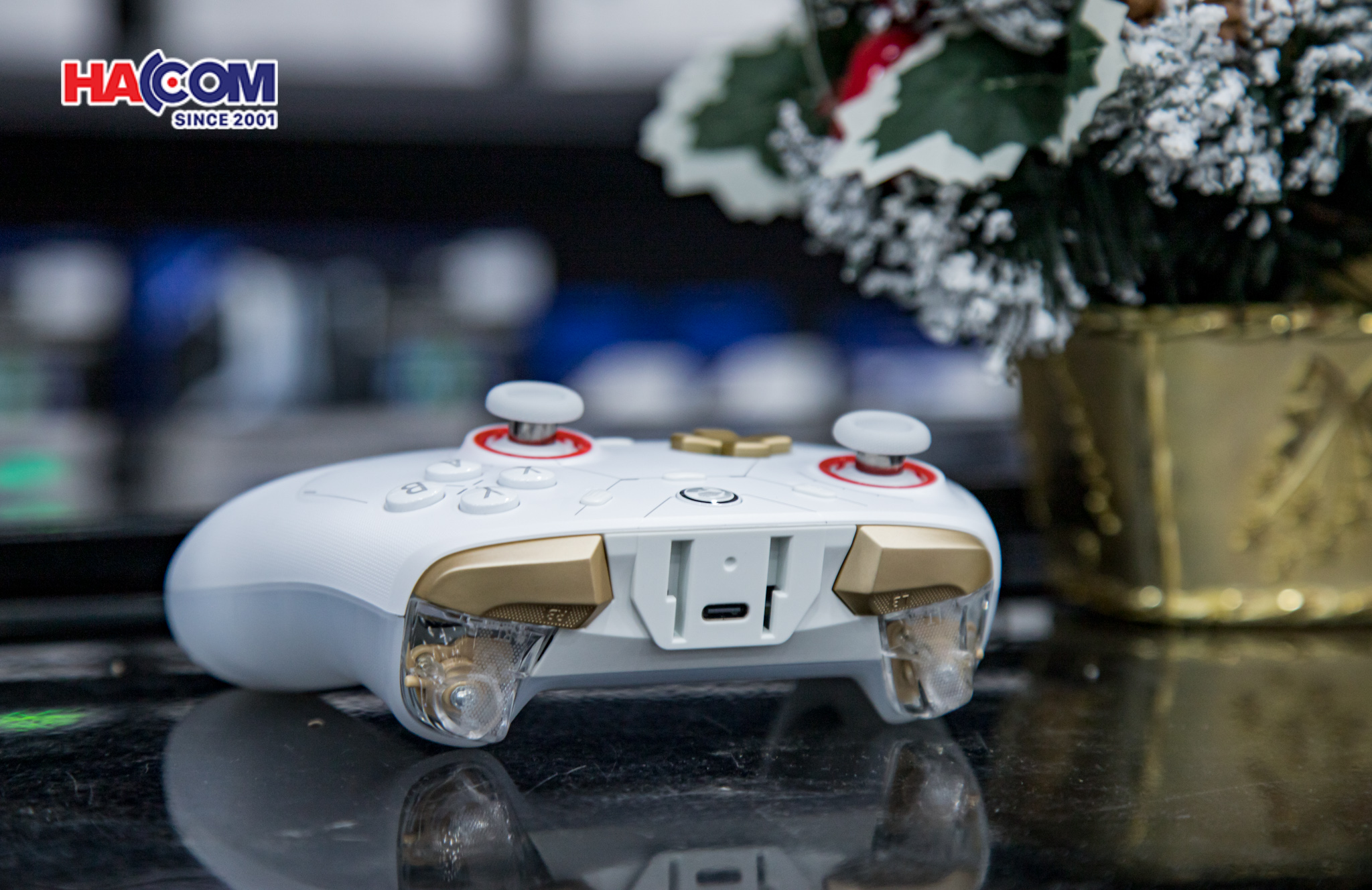 Tay Cầm Chơi Game Không Dây GameSir Cyclone 2 Màu Trắng 11