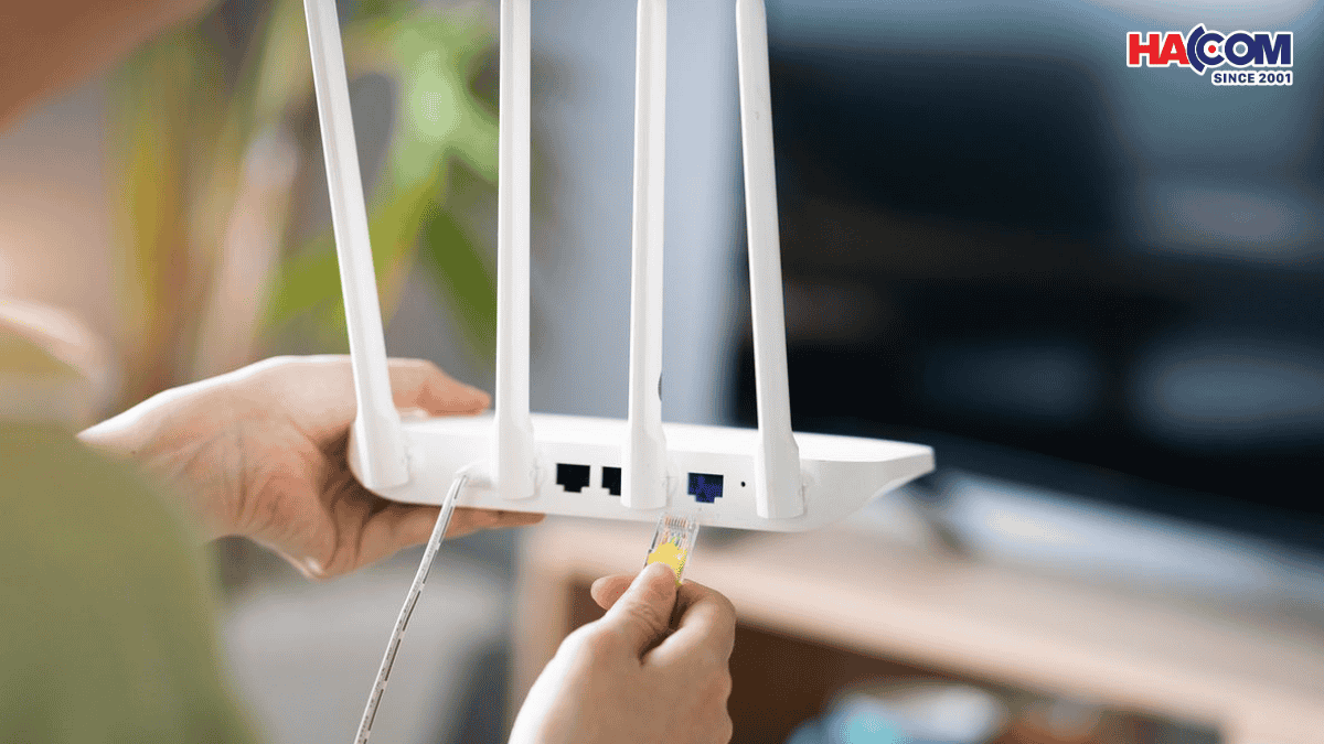 thiet bi phat wifi 3g 4g 2