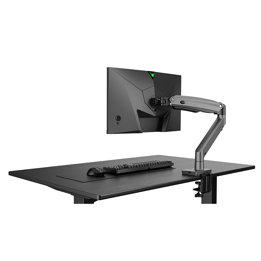 Màn hình ANTGAMER ANT25DVFiL (24.5 inch/FHD/Fast IPS/400Hz/1ms) - Hình 2