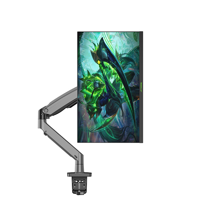 Màn hình ANTGAMER ANT25DVFiL (24.5 inch/FHD/Fast IPS/400Hz/1ms) - Hình 6