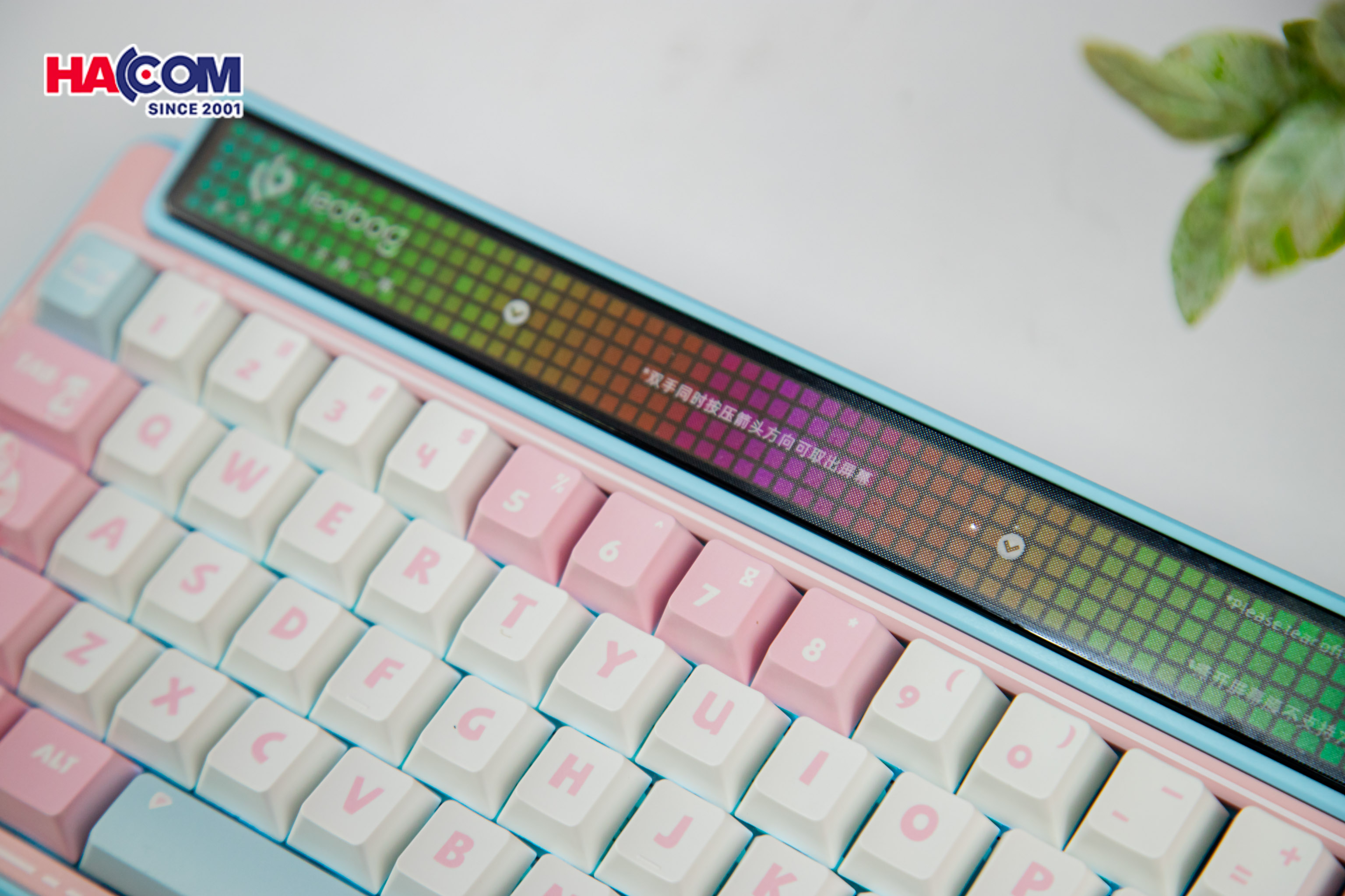 Bàn phím cơ LEOBOG AMG65 (3 Mode/ Hồng + Trắng + Xanh Dương/ Jadeite switch) 11