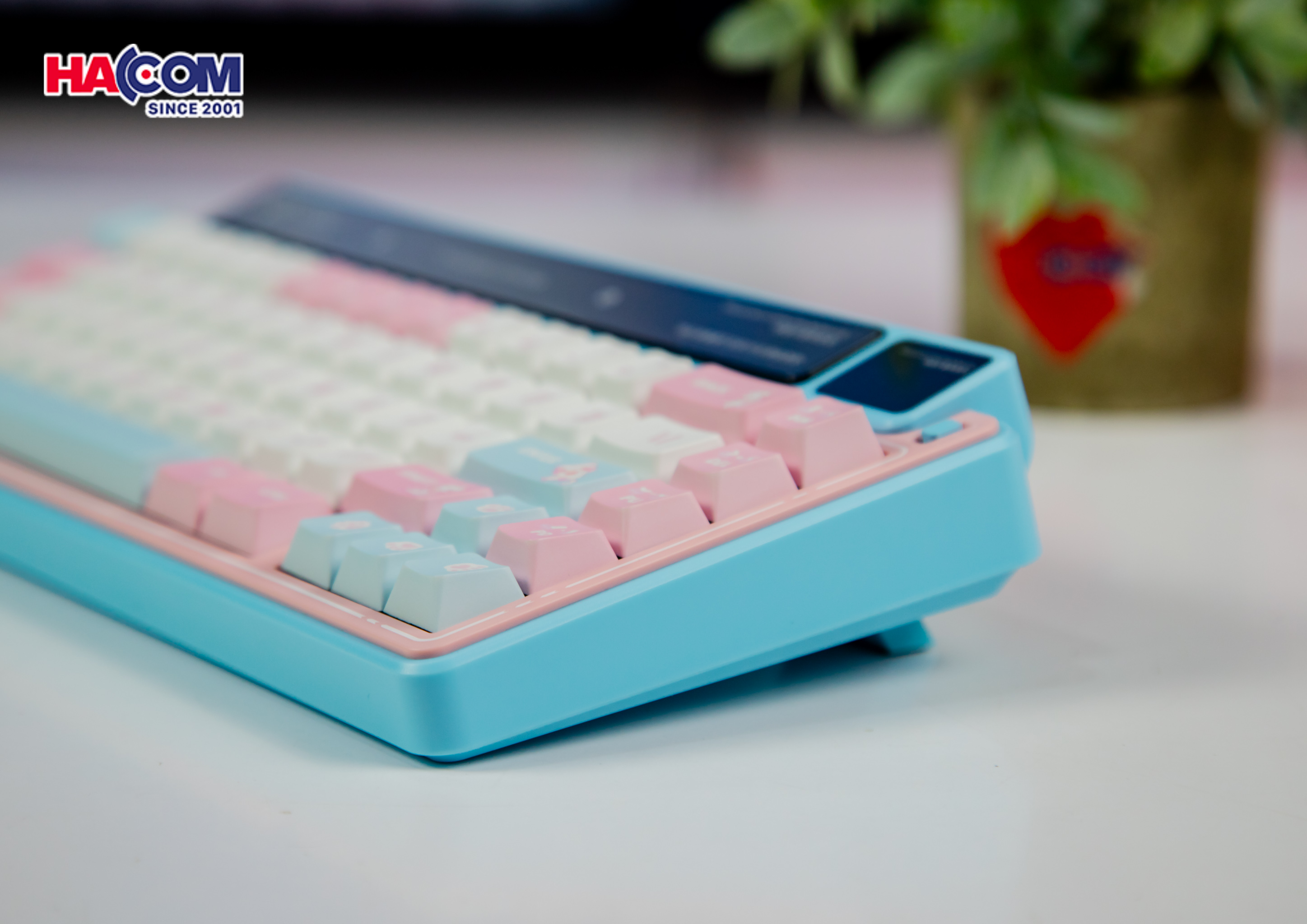 Bàn phím cơ LEOBOG AMG65 (3 Mode/ Hồng + Trắng + Xanh Dương/ Jadeite switch) 19