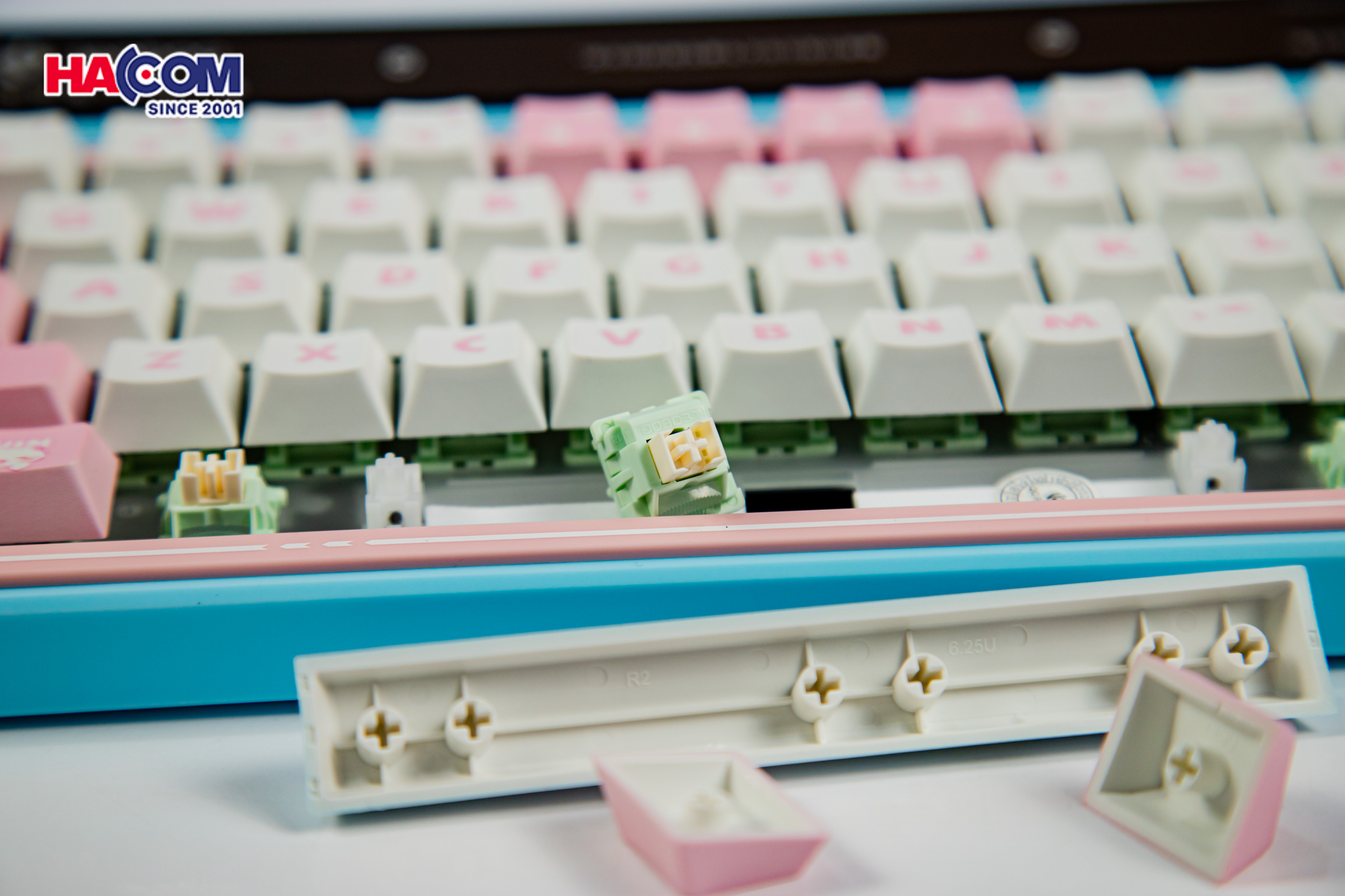 Bàn phím cơ LEOBOG AMG65 (3 Mode/ Hồng + Trắng + Xanh Dương/ Jadeite switch) 20