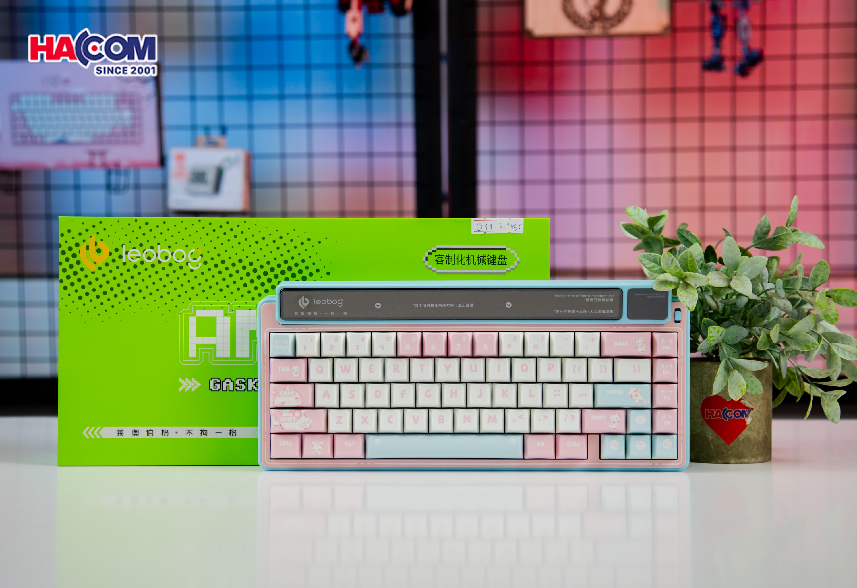 Bàn phím cơ LEOBOG AMG65 (3 Mode/ Hồng + Trắng + Xanh Dương/ Jadeite switch) - Hình 5