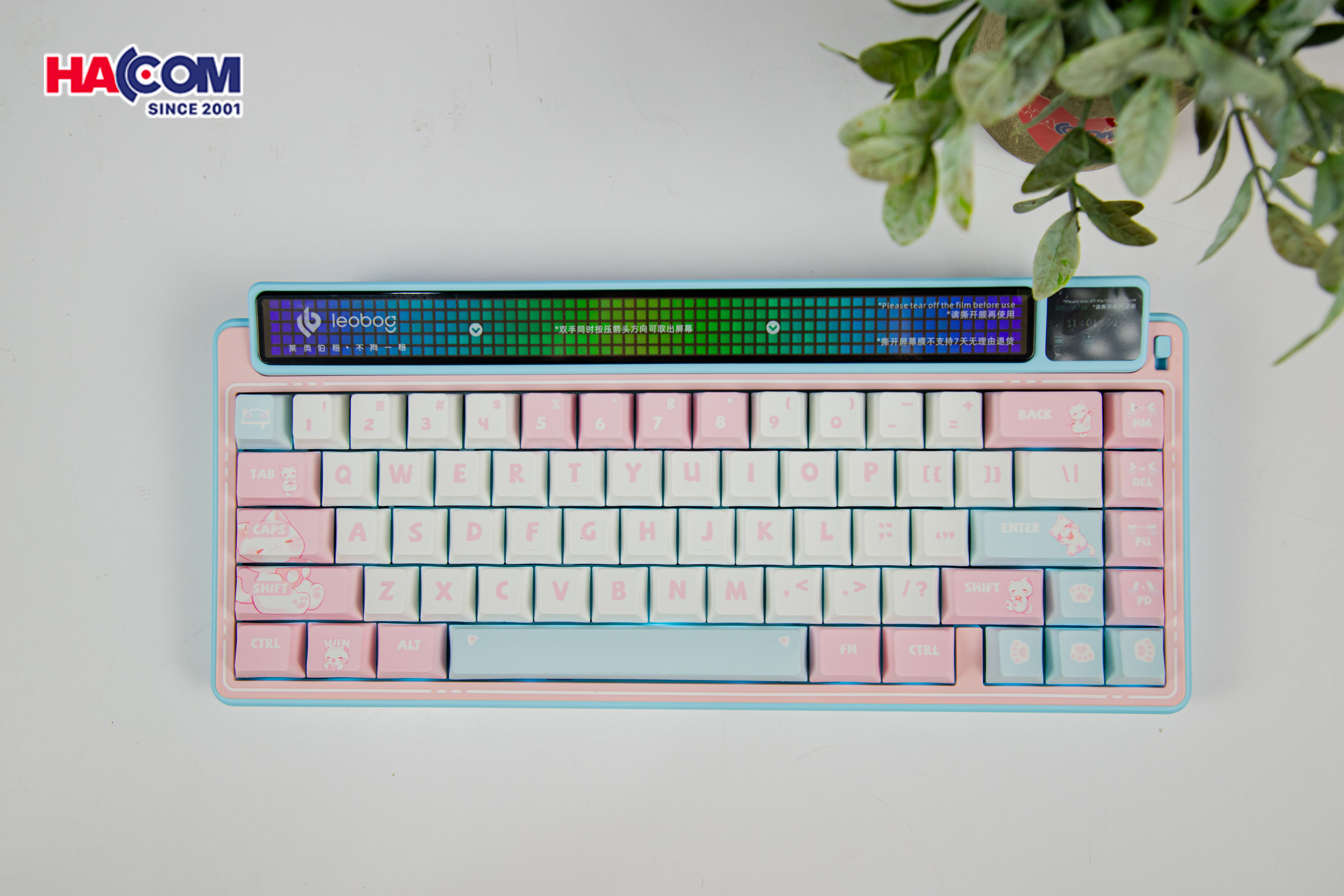 Bàn phím cơ LEOBOG AMG65 (3 Mode/ Hồng + Trắng + Xanh Dương/ Jadeite switch) - Hình 7