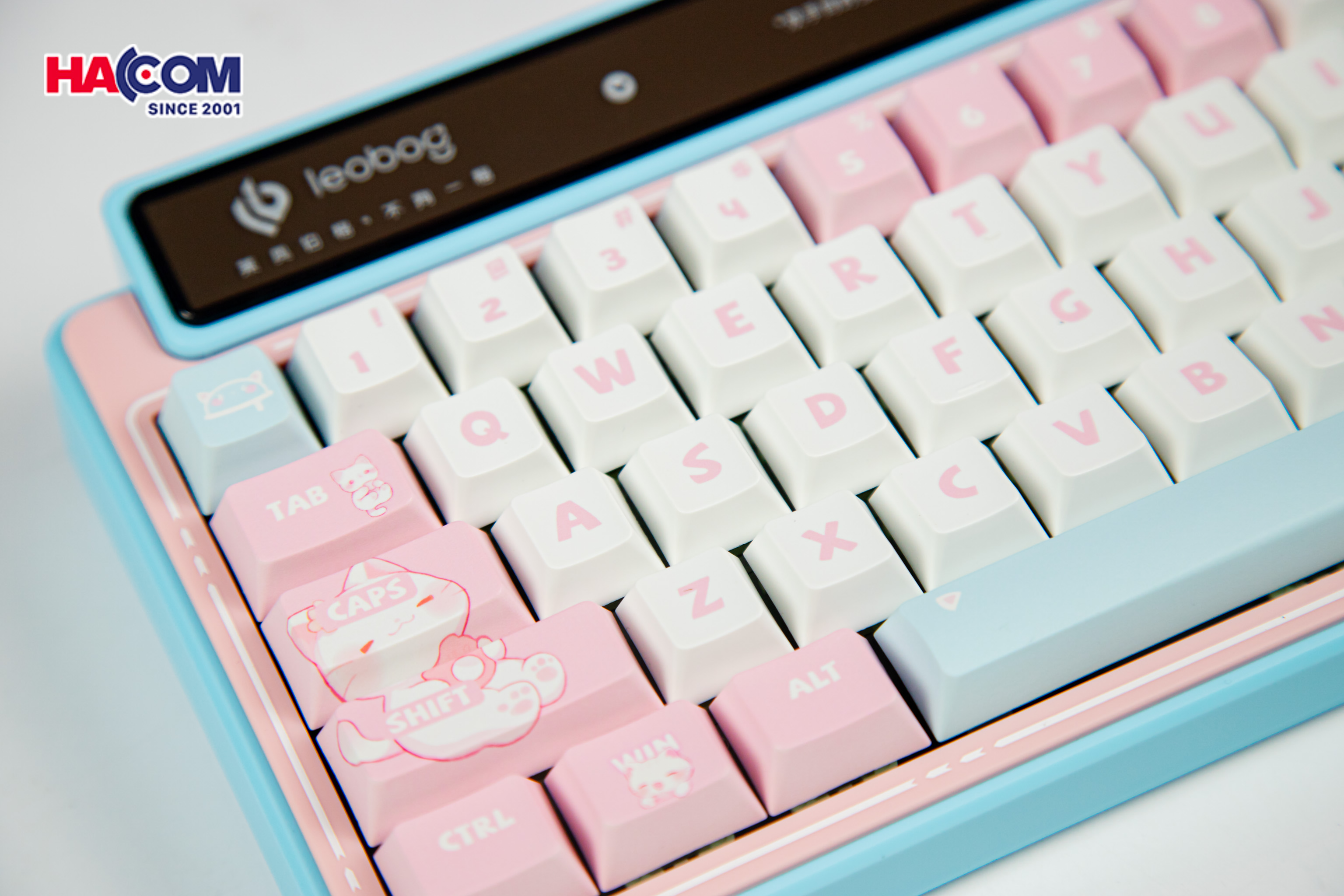 Bàn phím cơ LEOBOG AMG65 (3 Mode/ Hồng + Trắng + Xanh Dương/ Jadeite switch) - Hình 8
