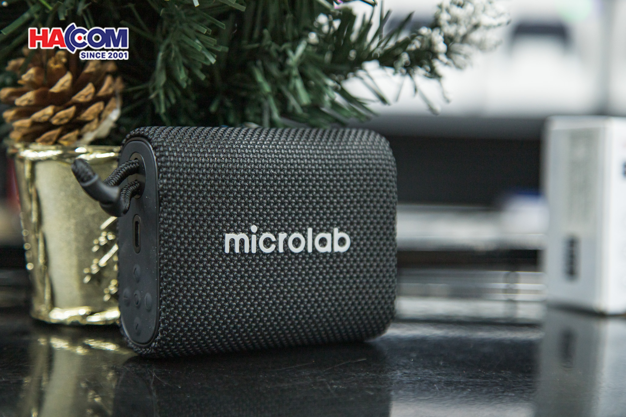 Loa Bluetooth Microlab BP21 đen 4