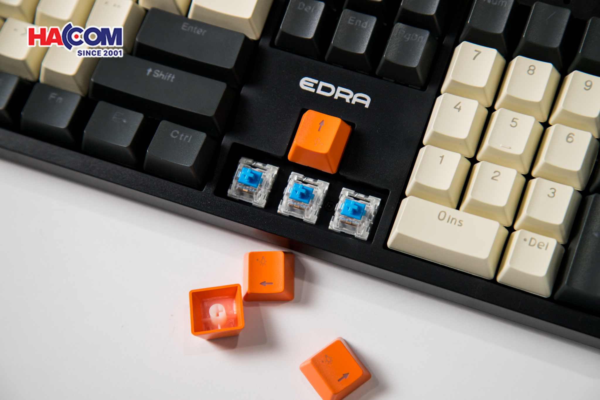 Bàn phím cơ EDRA EK3104K Blue switch 10