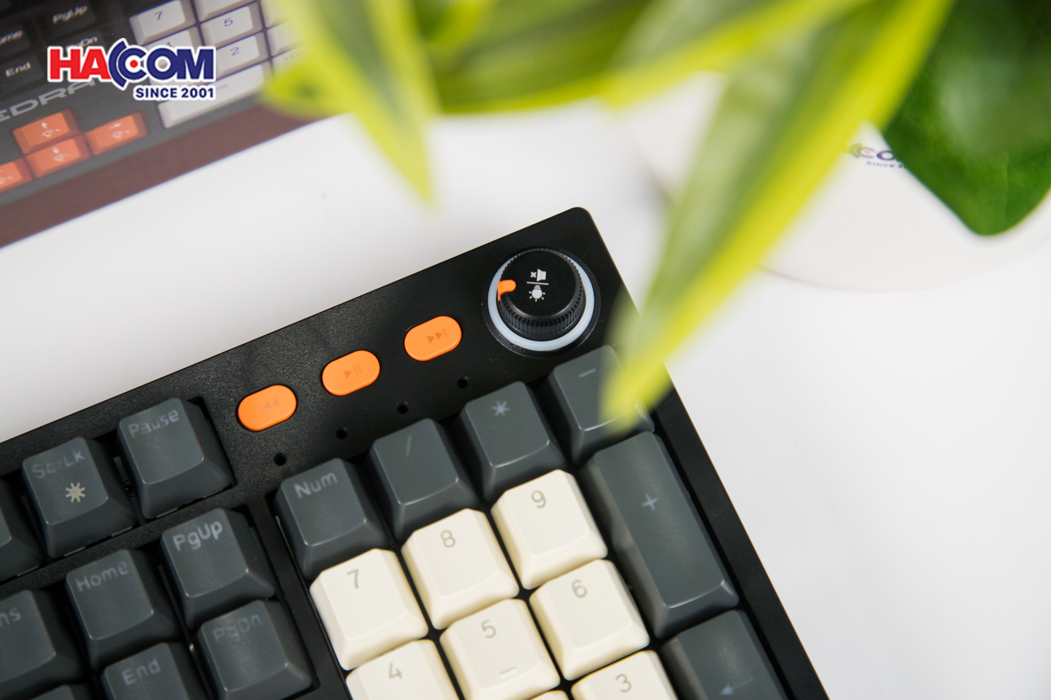 Bàn phím cơ EDRA EK3104K Red switch 5