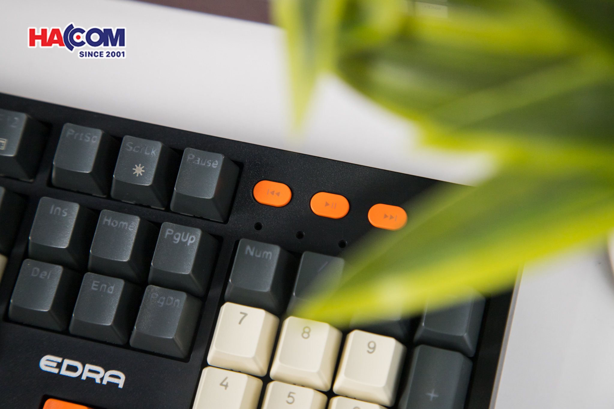 Bàn phím cơ EDRA EK3104K Red switch 7
