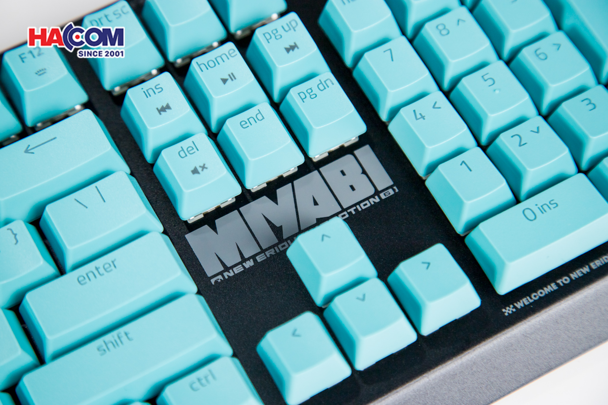 Bàn phím Razer BlackWidow V4 X - Zenless Zone Zero Edition 13