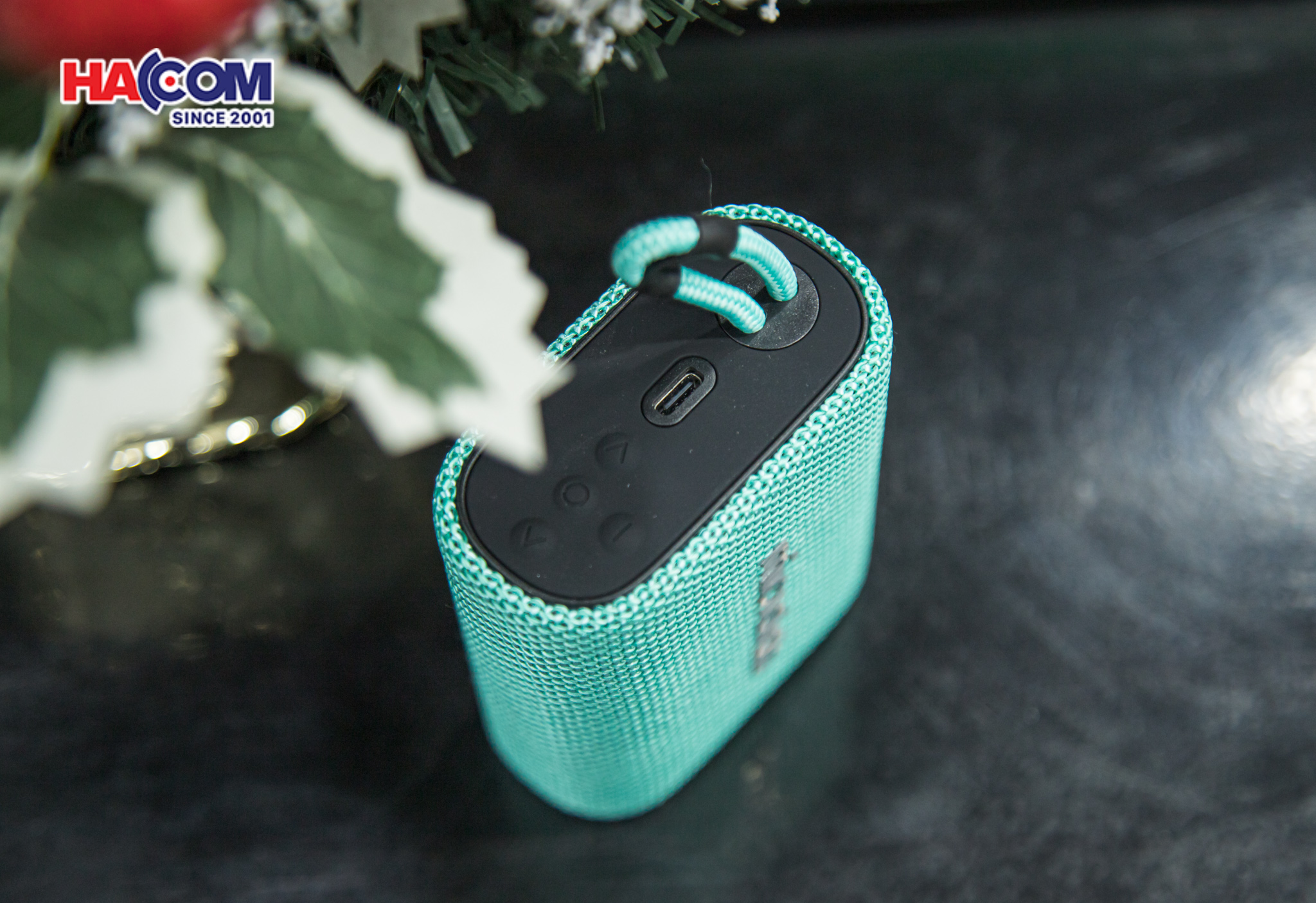 Loa Bluetooth Microlab BP21 xanh lá 5