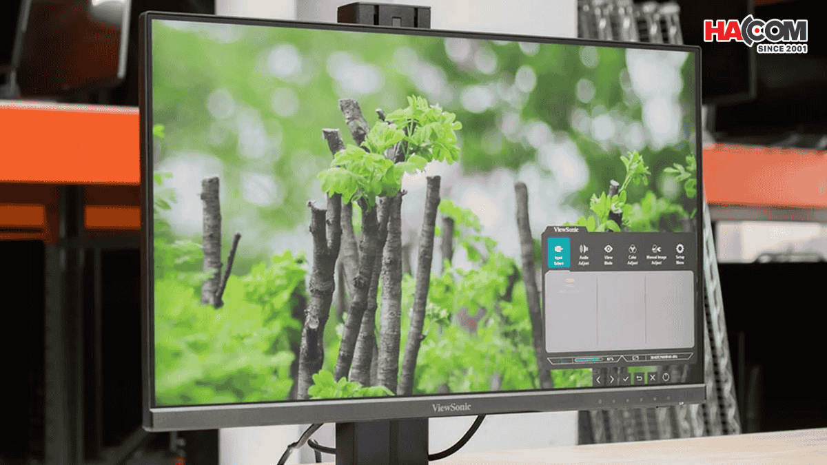 man hinh viewsonic 1