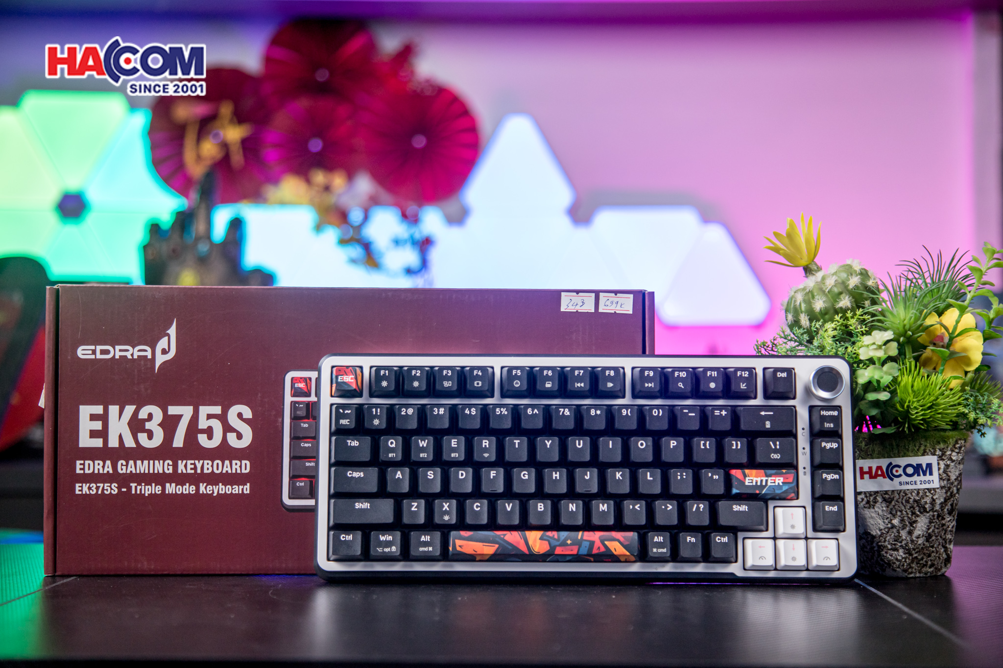 Bàn phím cơ EDRA EK375S (Triple Mode) - Hình 7