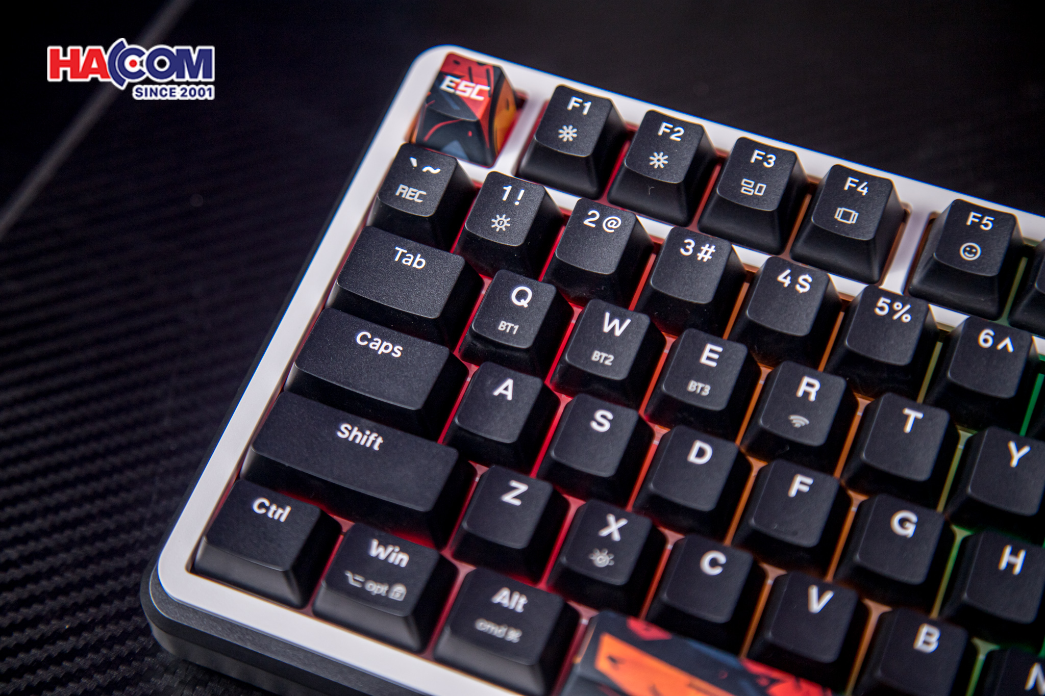 Bàn phím cơ EDRA EK375S (Triple Mode) 10