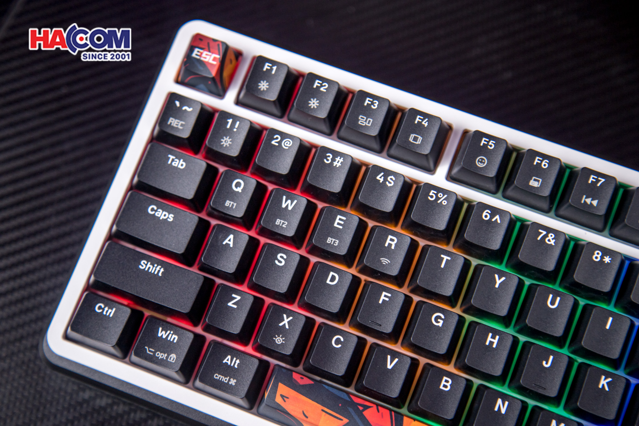 Bàn phím cơ EDRA EK375S (Triple Mode) 13