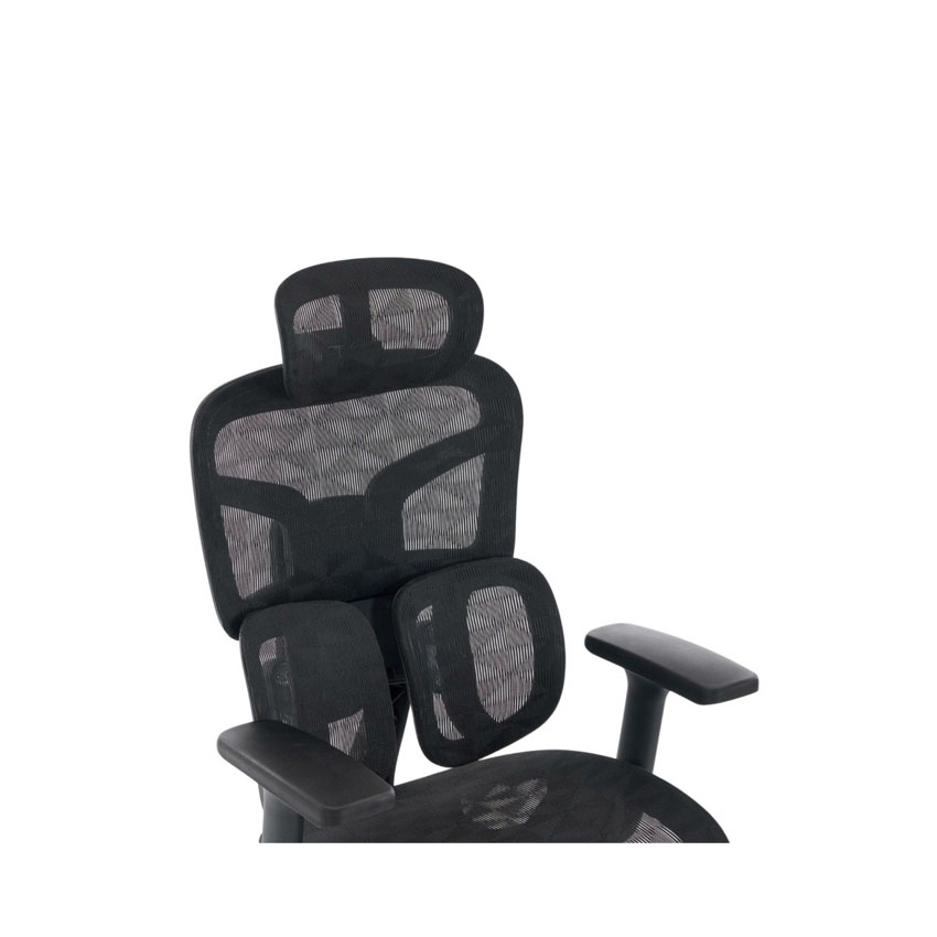 cdn/web/25092025/Ghe-cong-thai-hoc-EDRA-EEC226-2.jpg 3