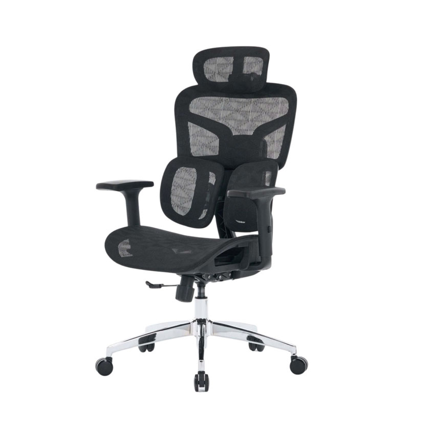 cdn/web/25092025/Ghe-cong-thai-hoc-EDRA-EEC226-8.jpg 8