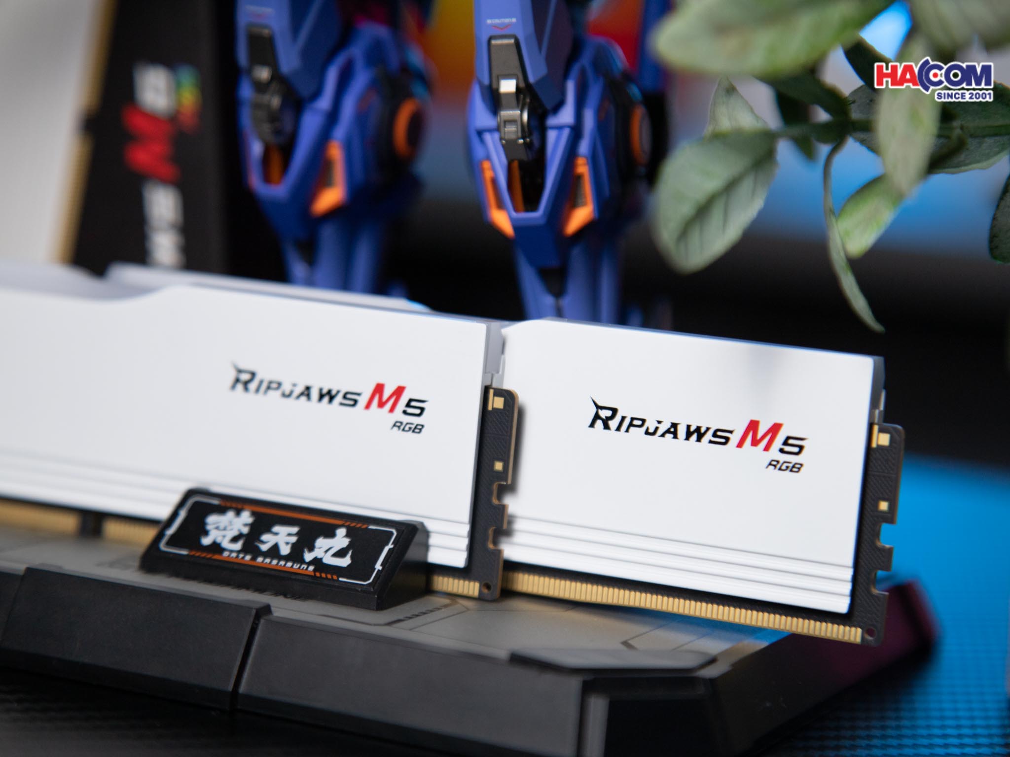 cdn/web/25112025/ram-gskill-ripjaws-m5-rgb-64gb-ddr5-3.jpg 5