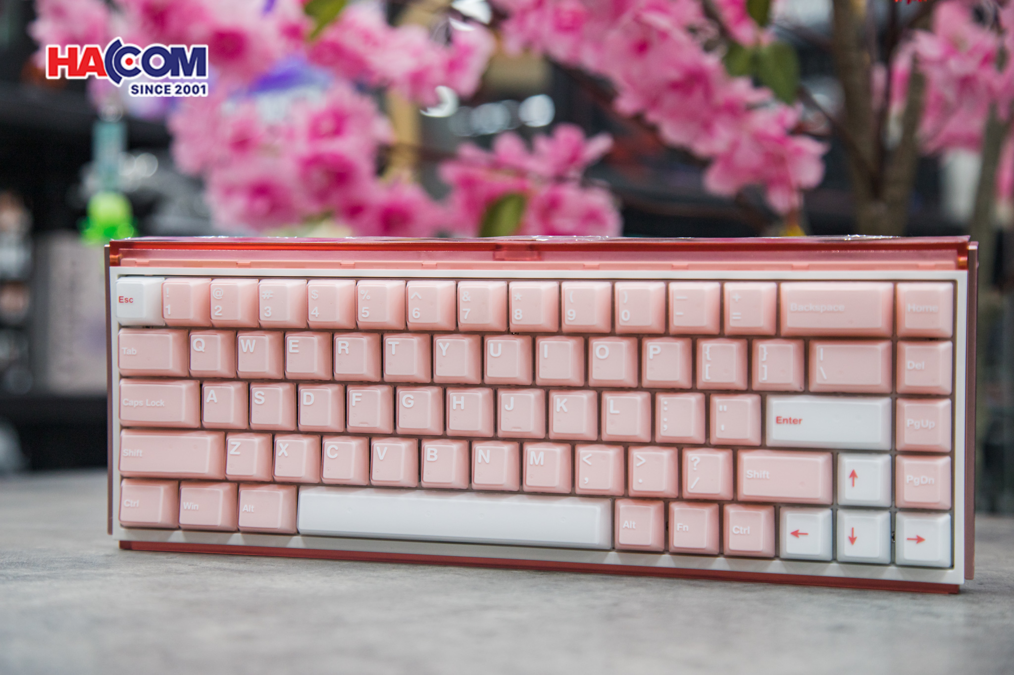 Bàn phím AKKO Ray68 Misty Pink & White 3