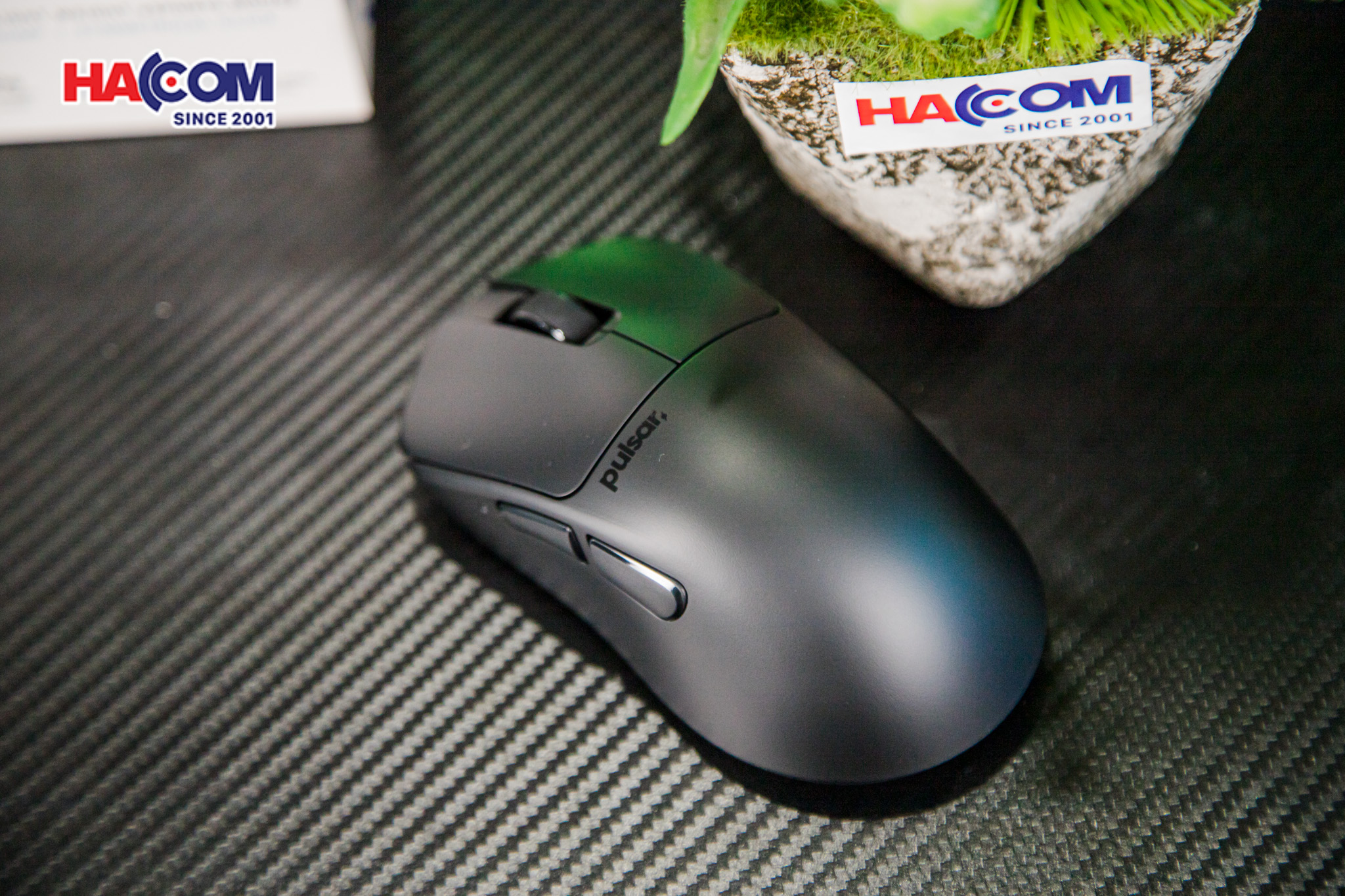 Chuột không dây Pulsar X3 Size2 Black_PX3R21 10