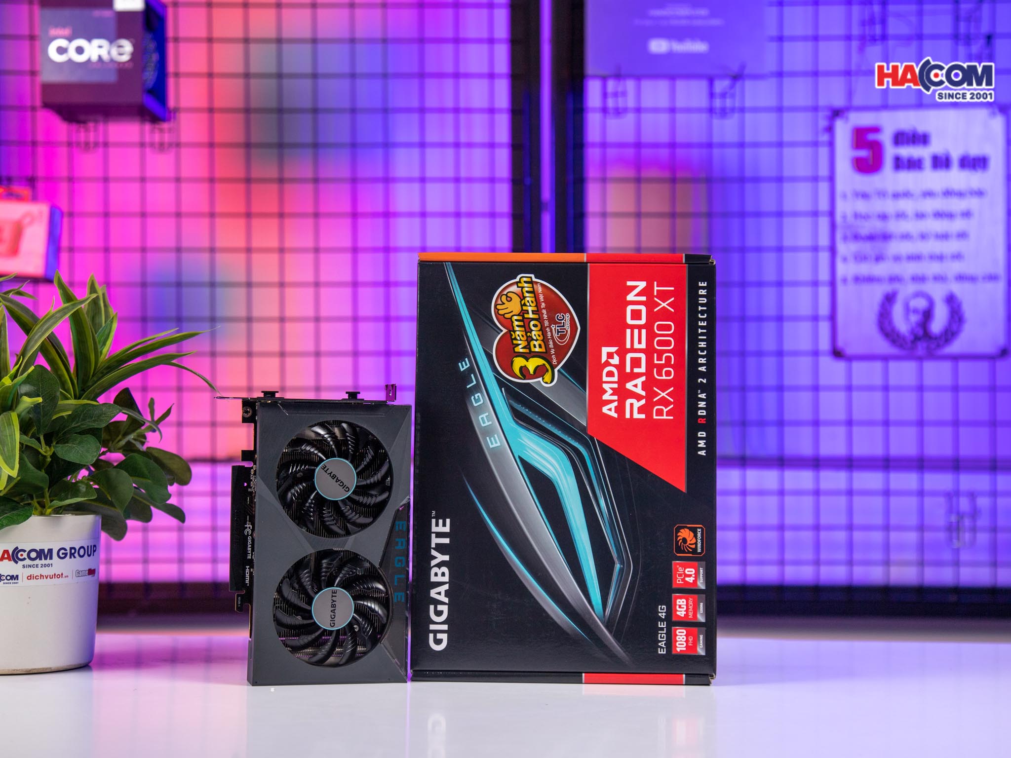 cdn/web/27112025/card-man-hinh-gigabyte-rx-6500-xt-eagle-4gd-1.jpg 7