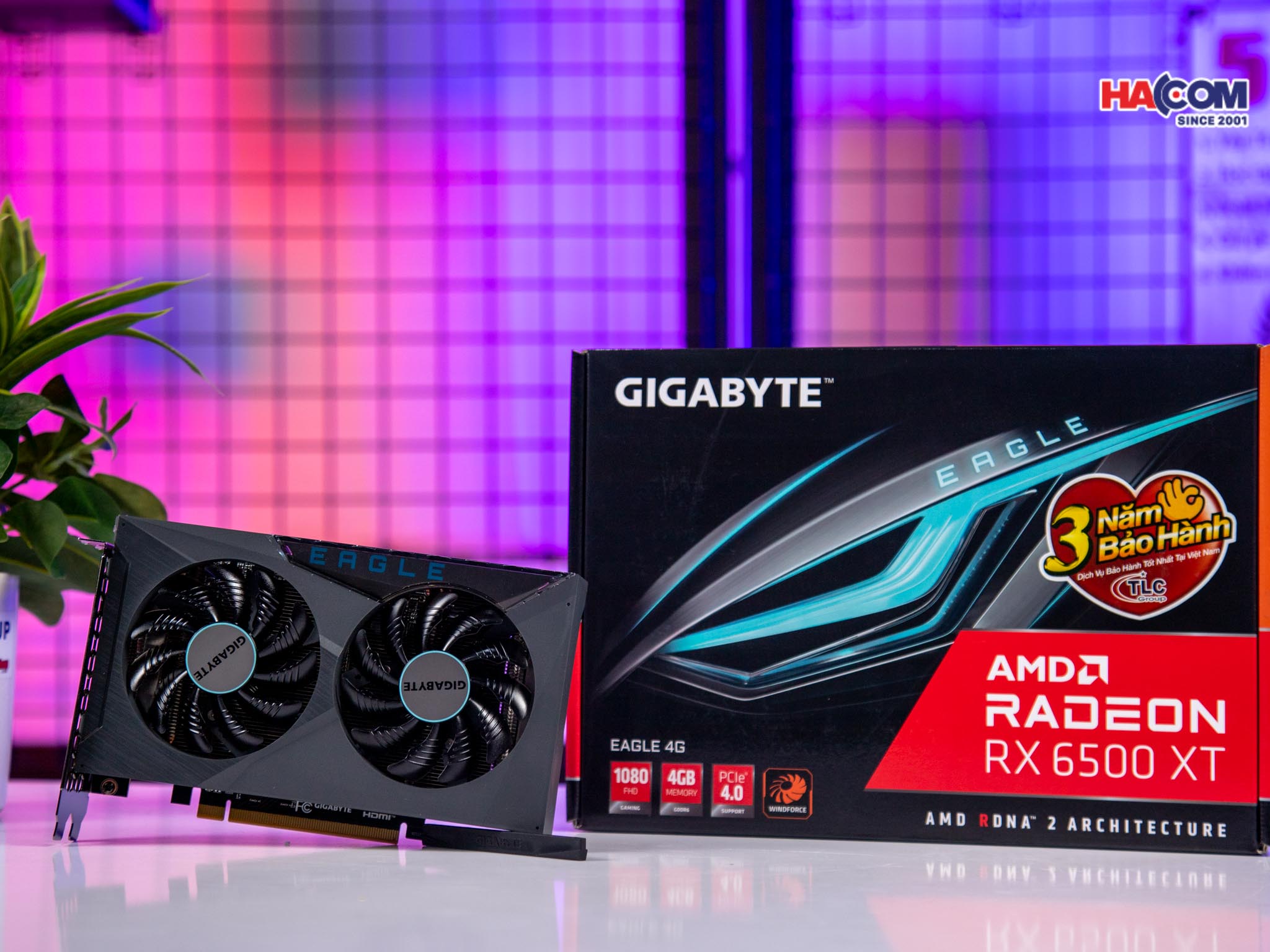 cdn/web/27112025/card-man-hinh-gigabyte-rx-6500-xt-eagle-4gd-5.jpg 9