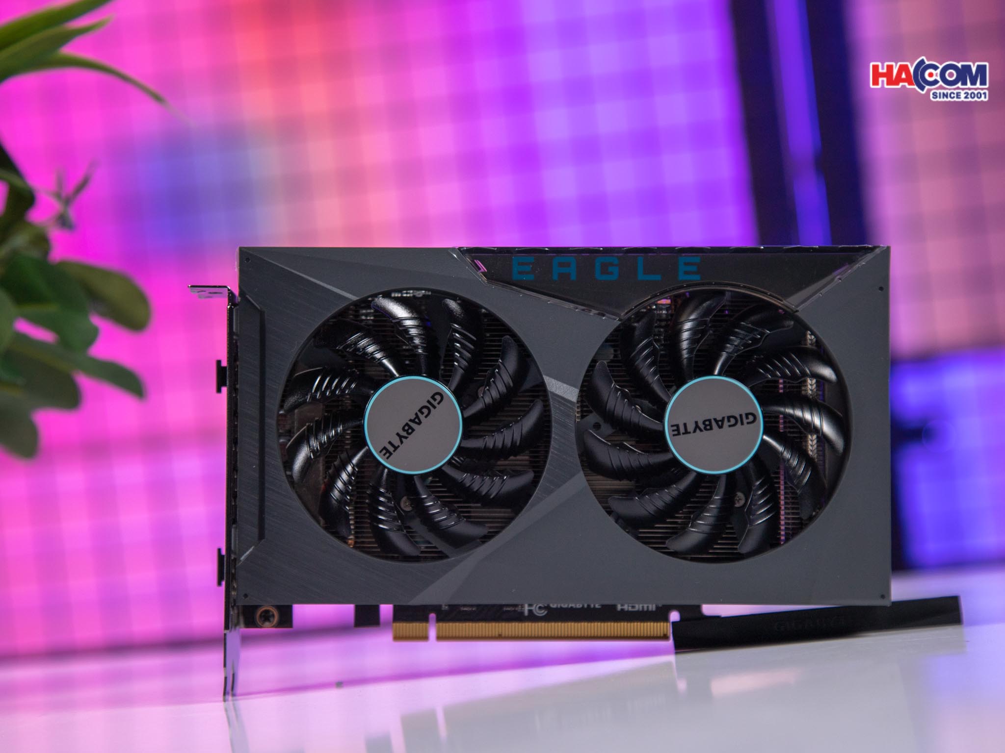 cdn/web/27112025/card-man-hinh-gigabyte-rx-6500-xt-eagle-4gd-6.jpg 10