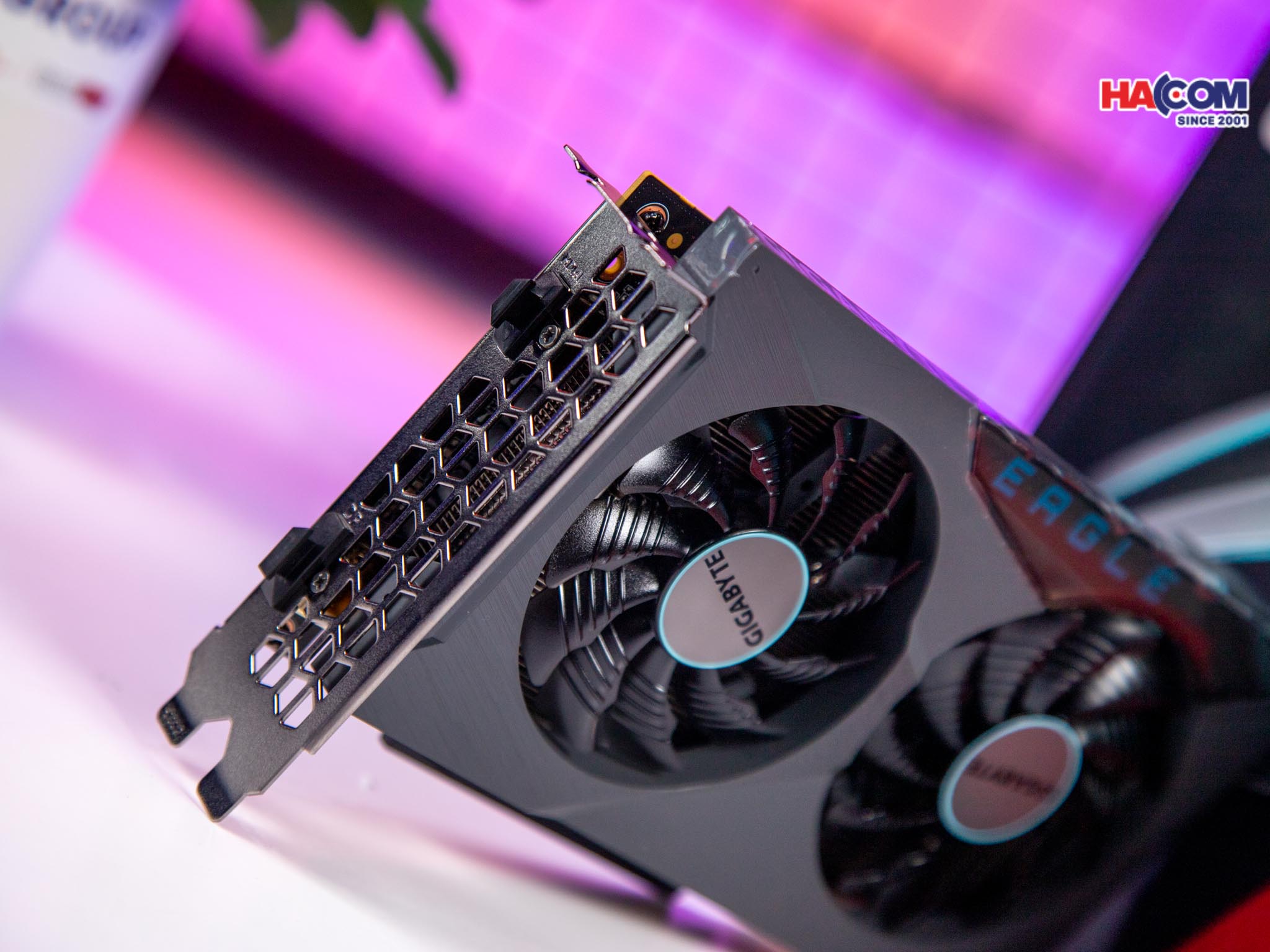 cdn/web/27112025/card-man-hinh-gigabyte-rx-6500-xt-eagle-4gd-7.jpg 11