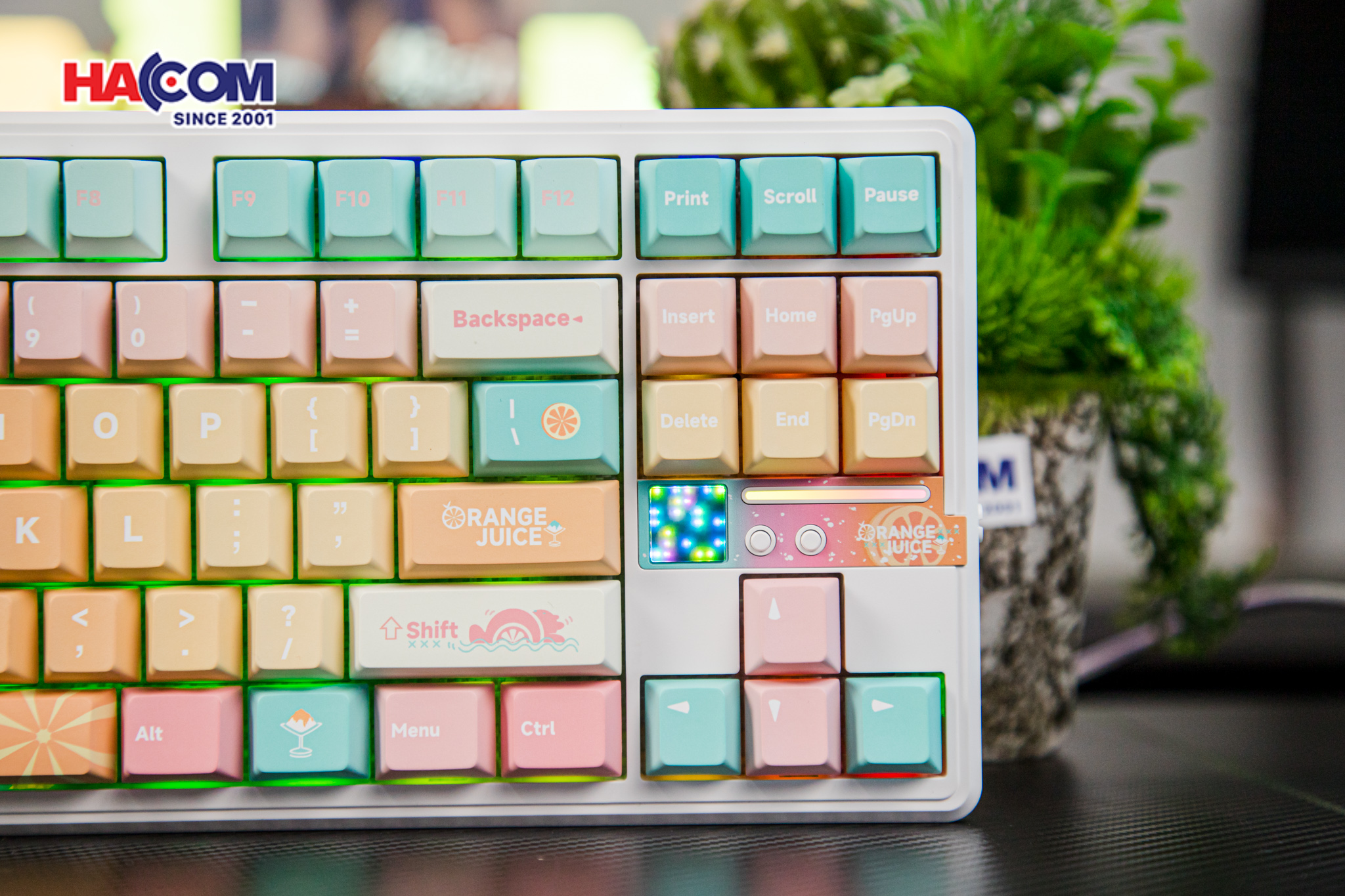Bàn phím AULA F87 Pro V2 (3 Mode/ Orange Juice/ Meteor Ice Cream Switch) 8