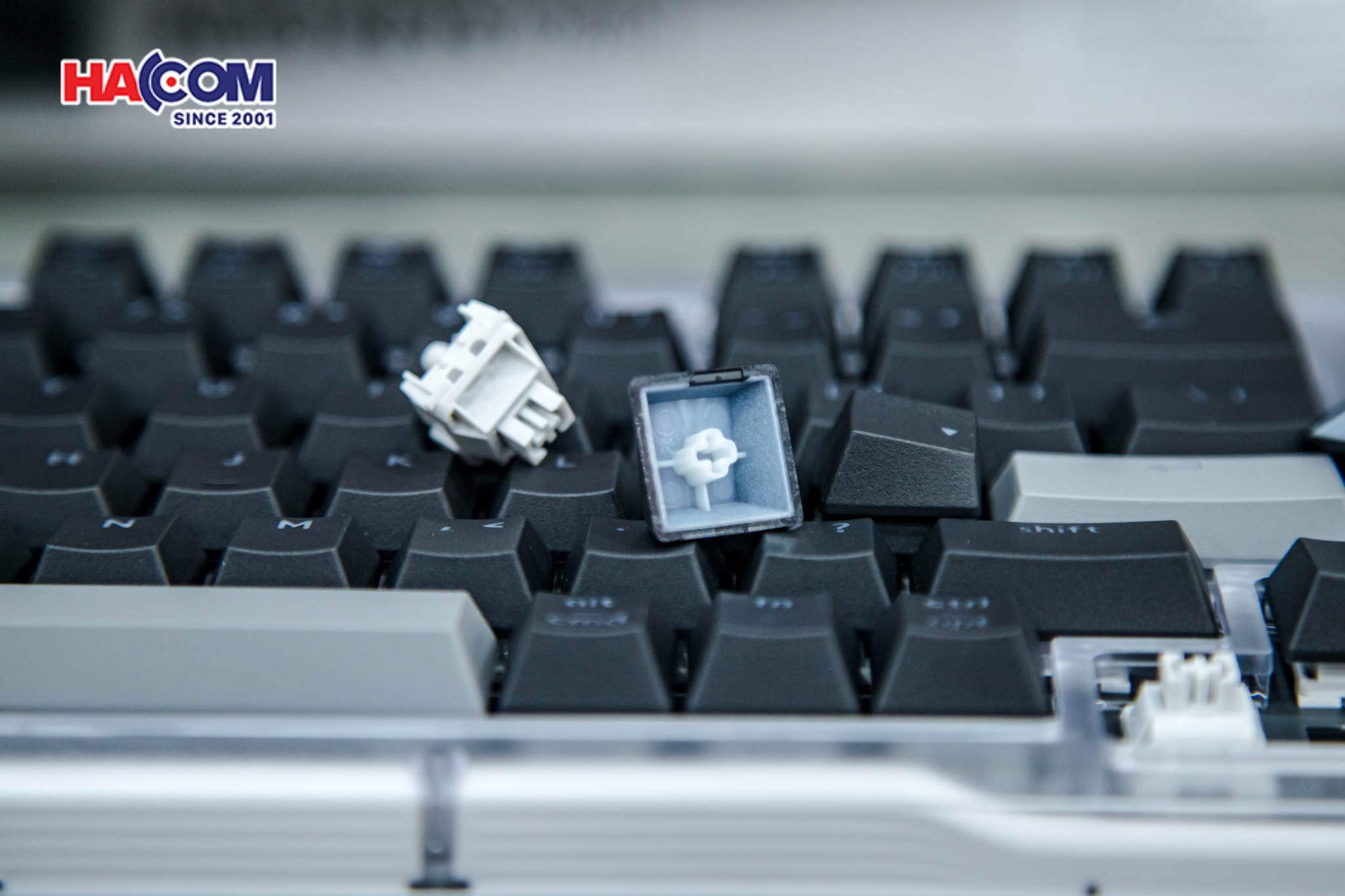 Bàn phím không dây Logitech Alto Keys K98M Graphite (920-013584) 23