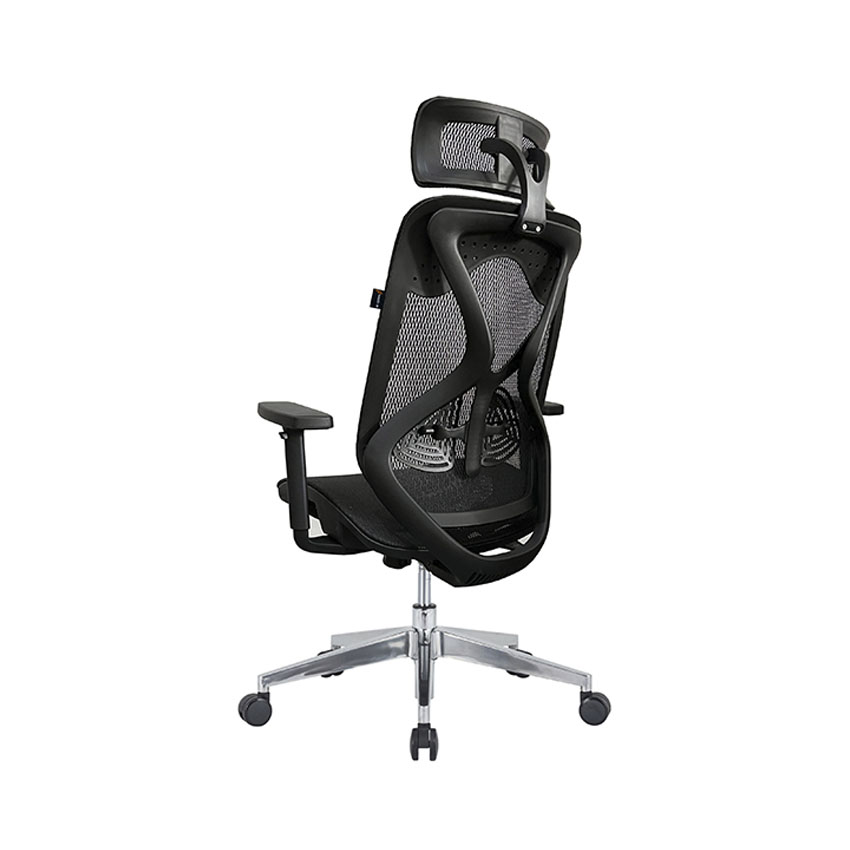 cdn/web/29092025/Ghe-cong-thai-hoc-EDRA-EEC227-3.jpg 3