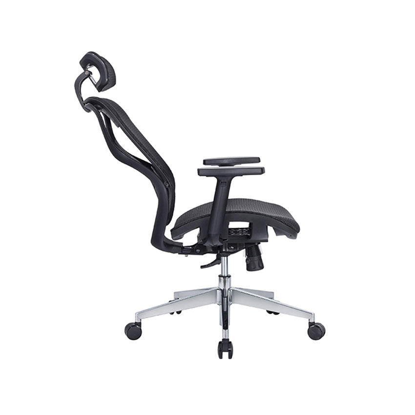 cdn/web/29092025/Ghe-cong-thai-hoc-EDRA-EEC227-4.jpg 4