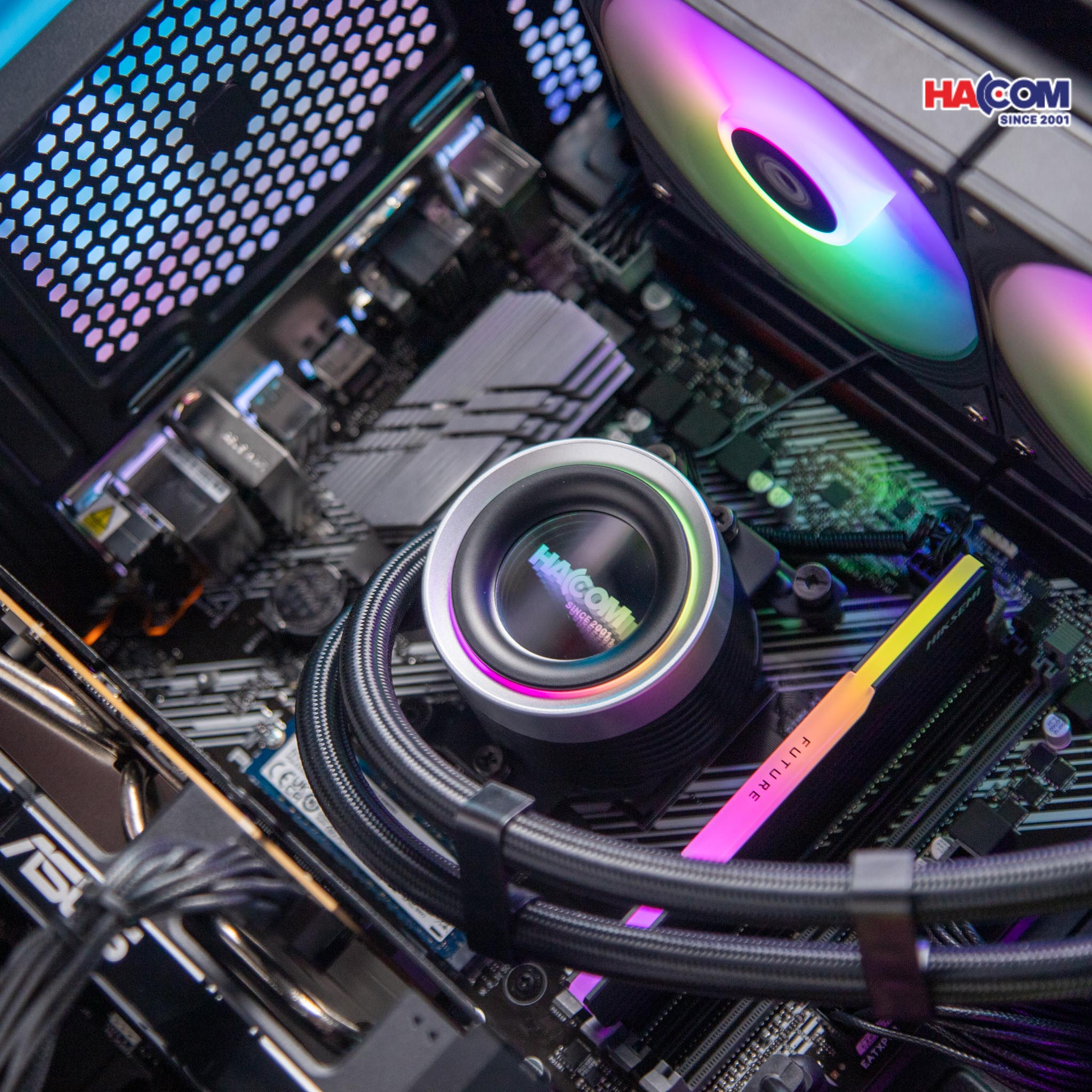 cdn/web/29122025/IMG_2732.jpg 5