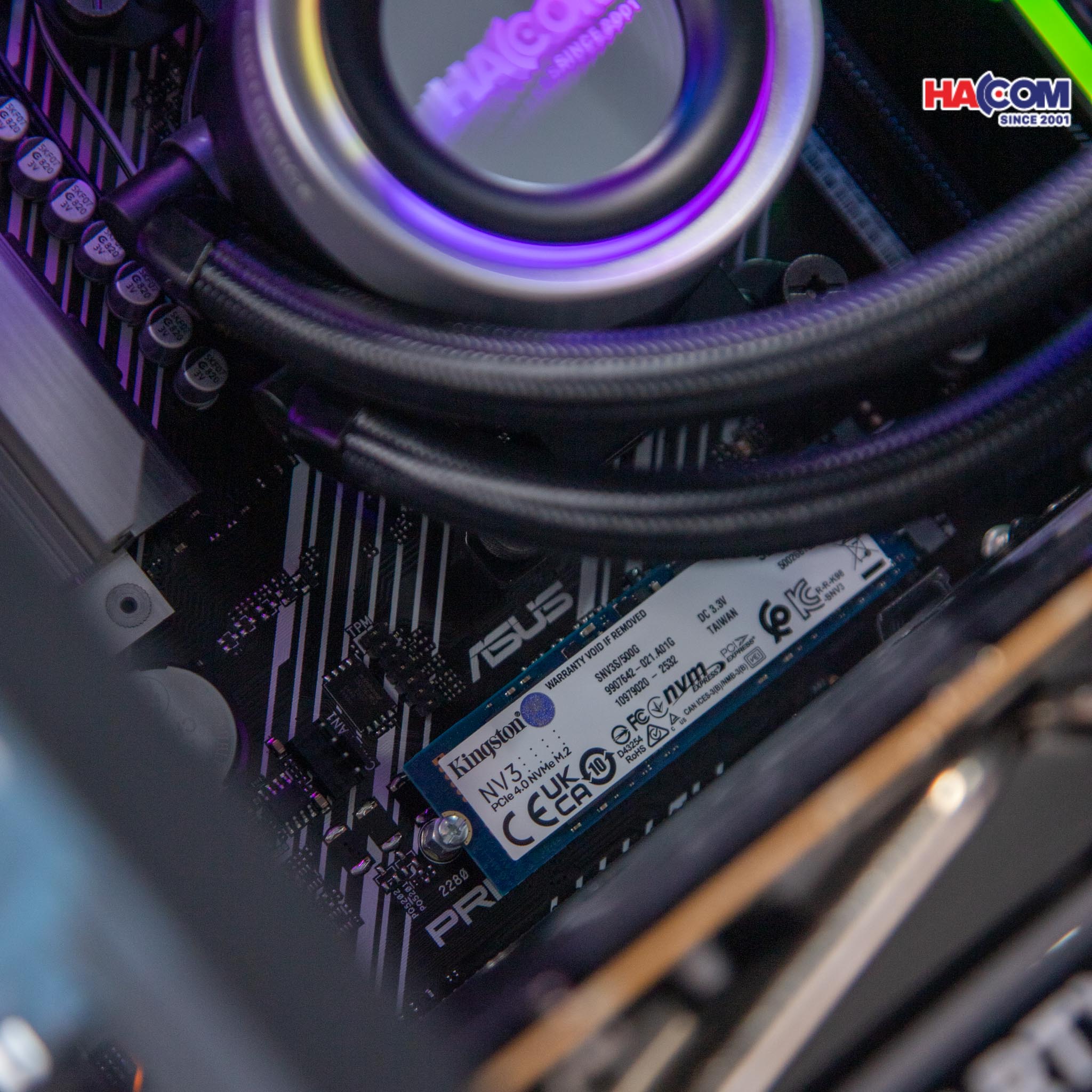 cdn/web/29122025/IMG_2734.jpg 7