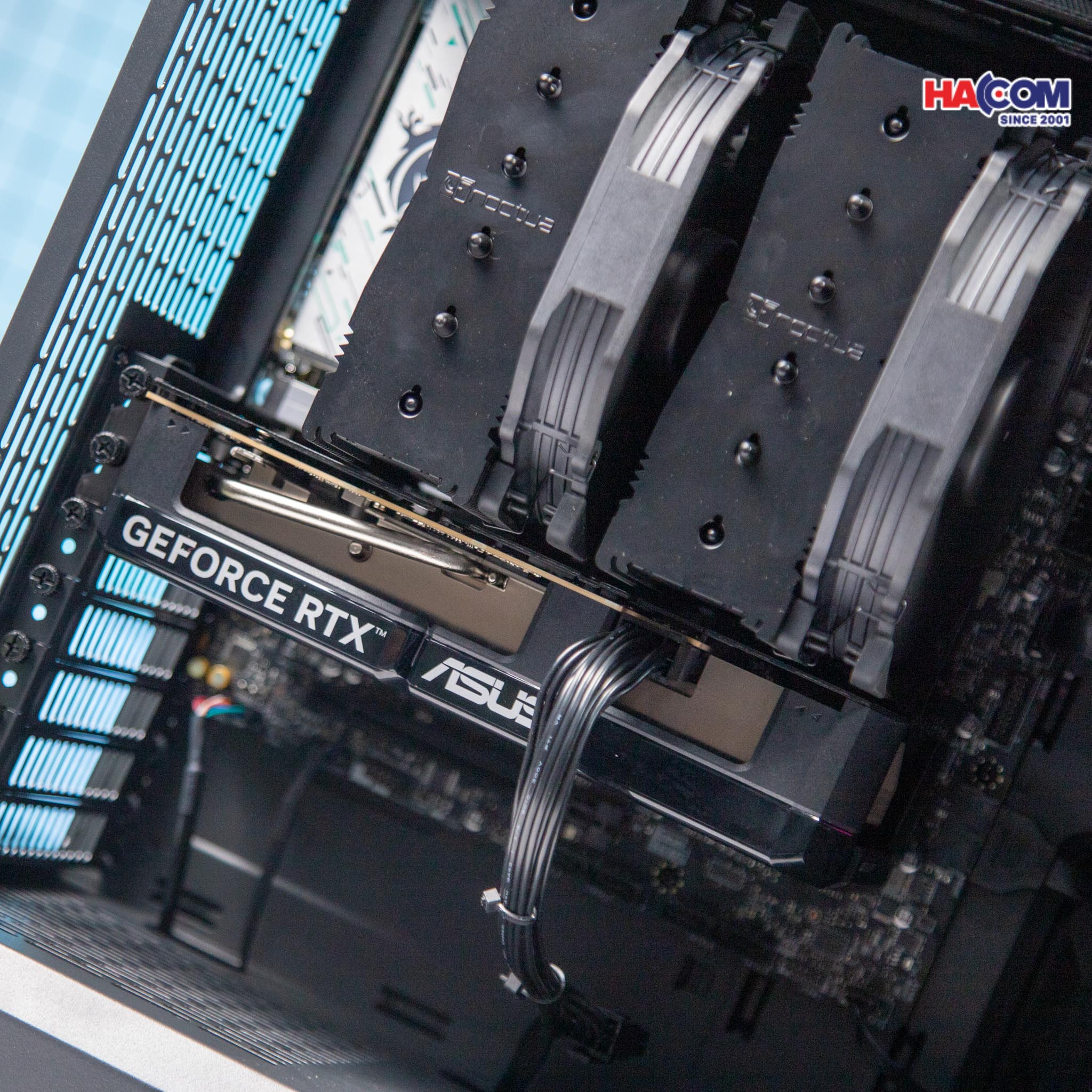 cdn/web/29122025/IMG_2738.jpg 2