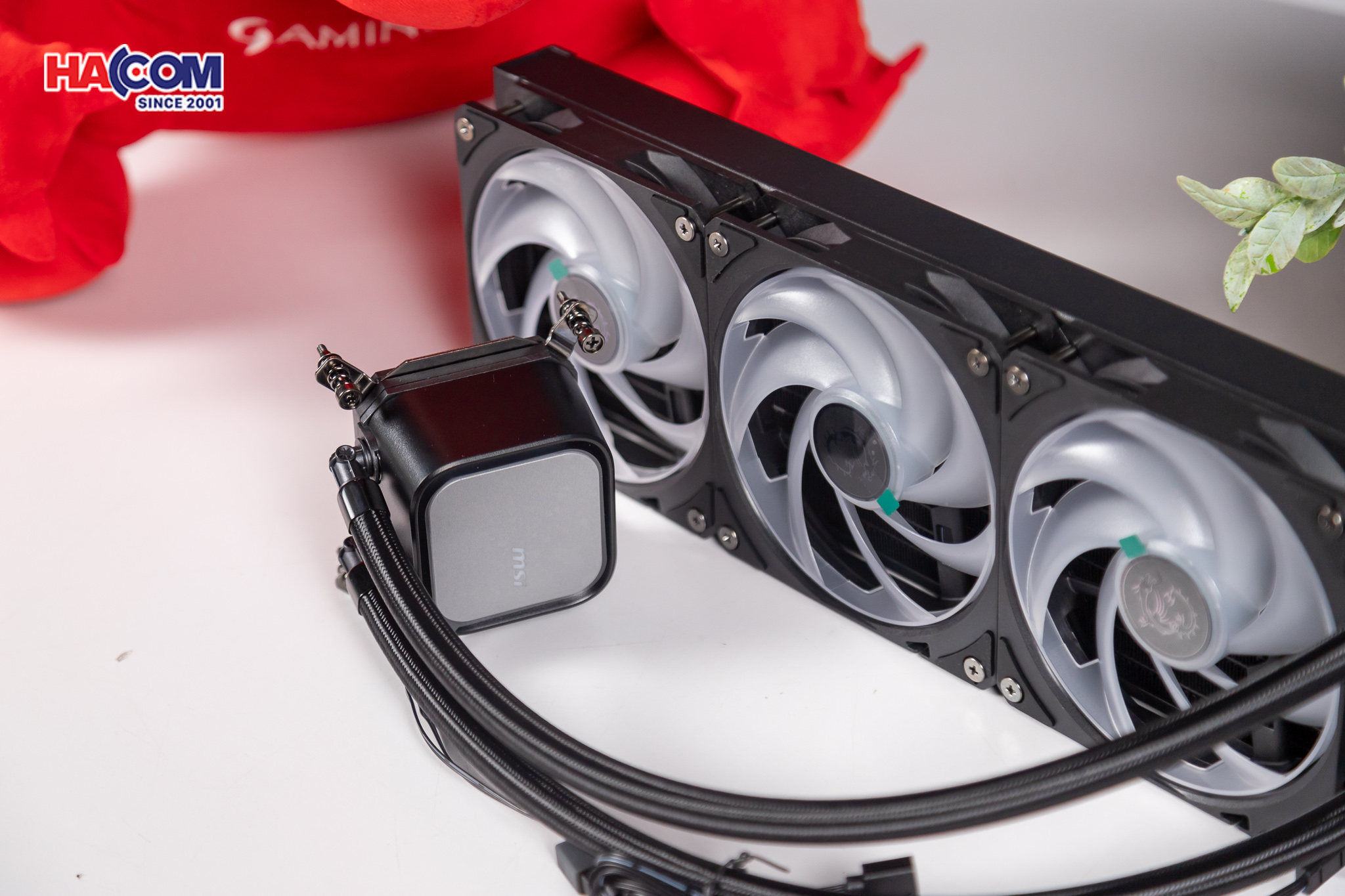 cdn/web/30092025/IMG_8486.jpg 8