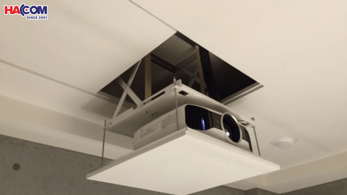 gia treo may chieu 2