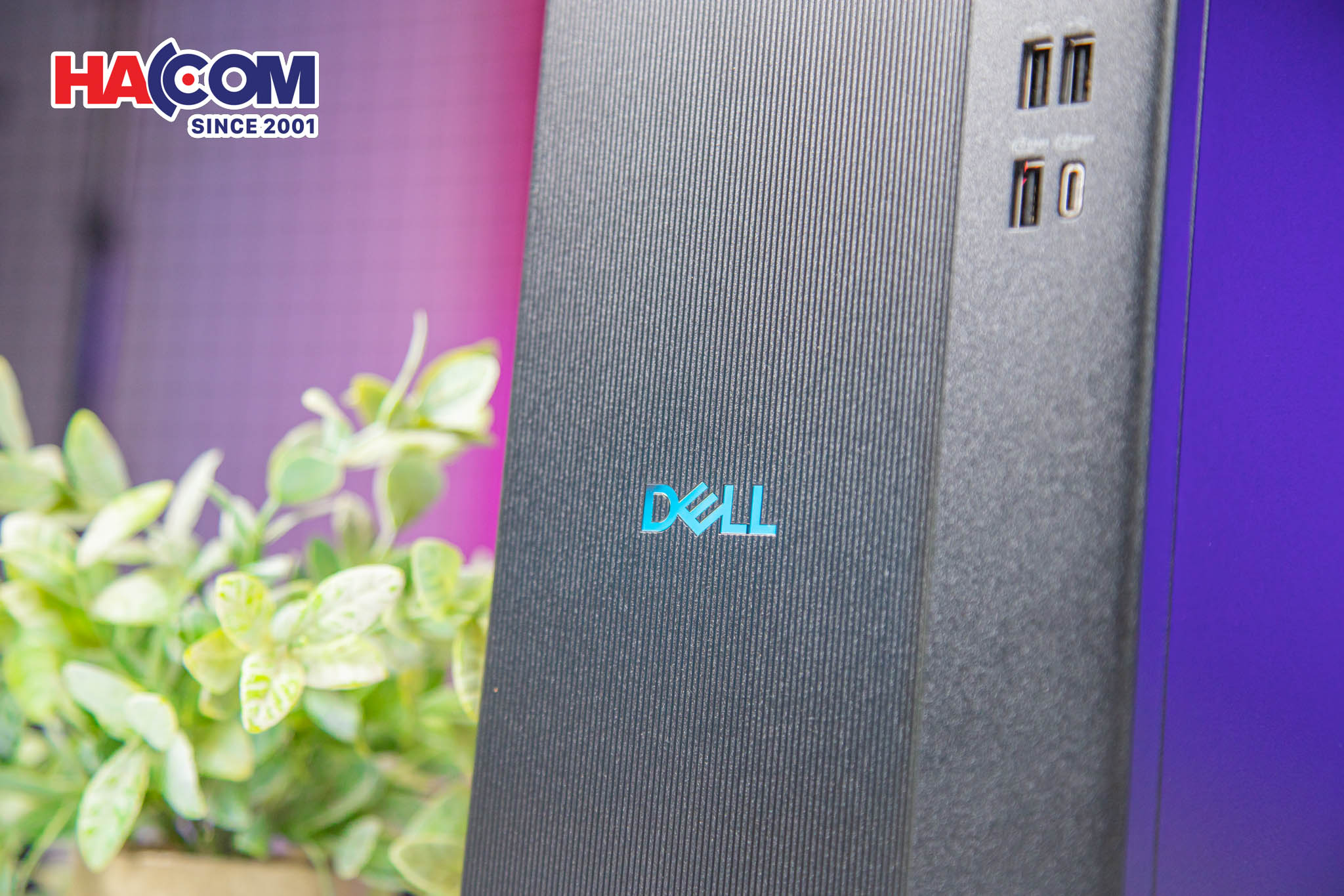 PC Dell Tower ECT1250 (DT-14700-16-512G) 8